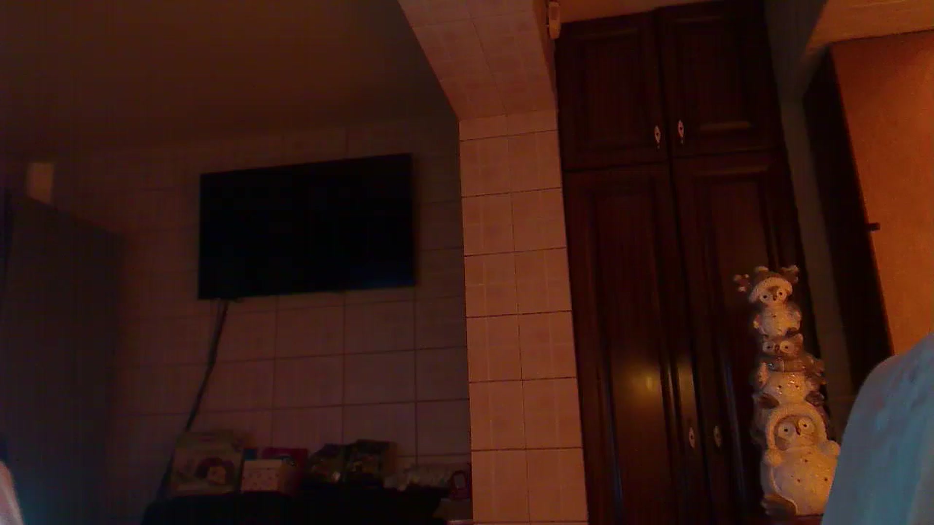 Gallery image thumbnail from No_bo_dy's myfreecams stream on, 01/03/2026, 24:59 image 14 of 20