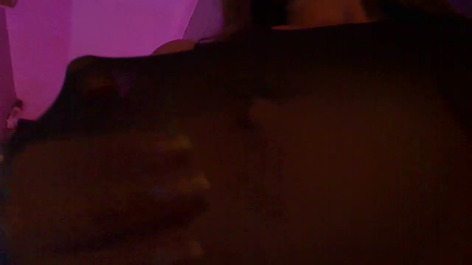 Gallery image thumbnail from No_bo_dy's myfreecams stream on, 07/19/2026, 02:40 image 18 of 20