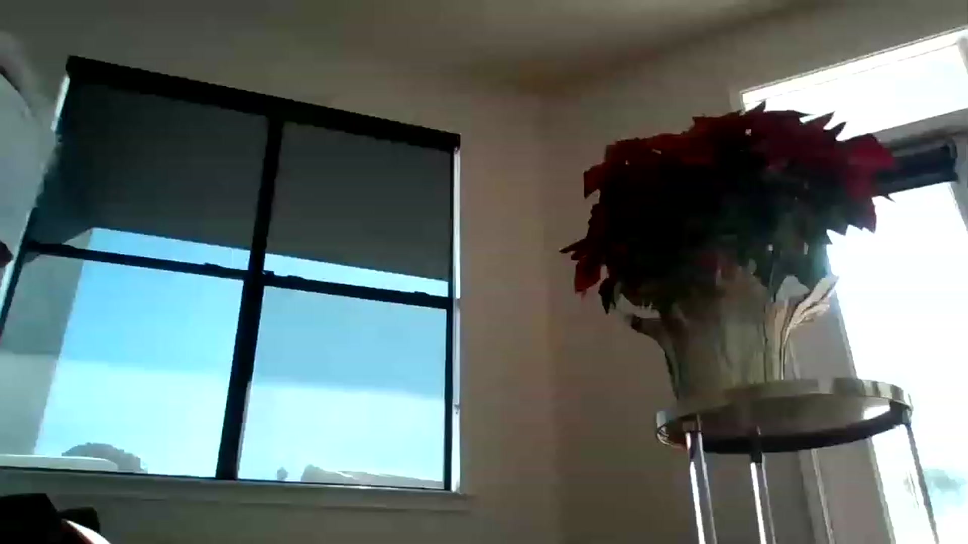 Gallery image thumbnail from Noelles's myfreecams stream on, 12/26/2022, 19:08 image 17 of 20