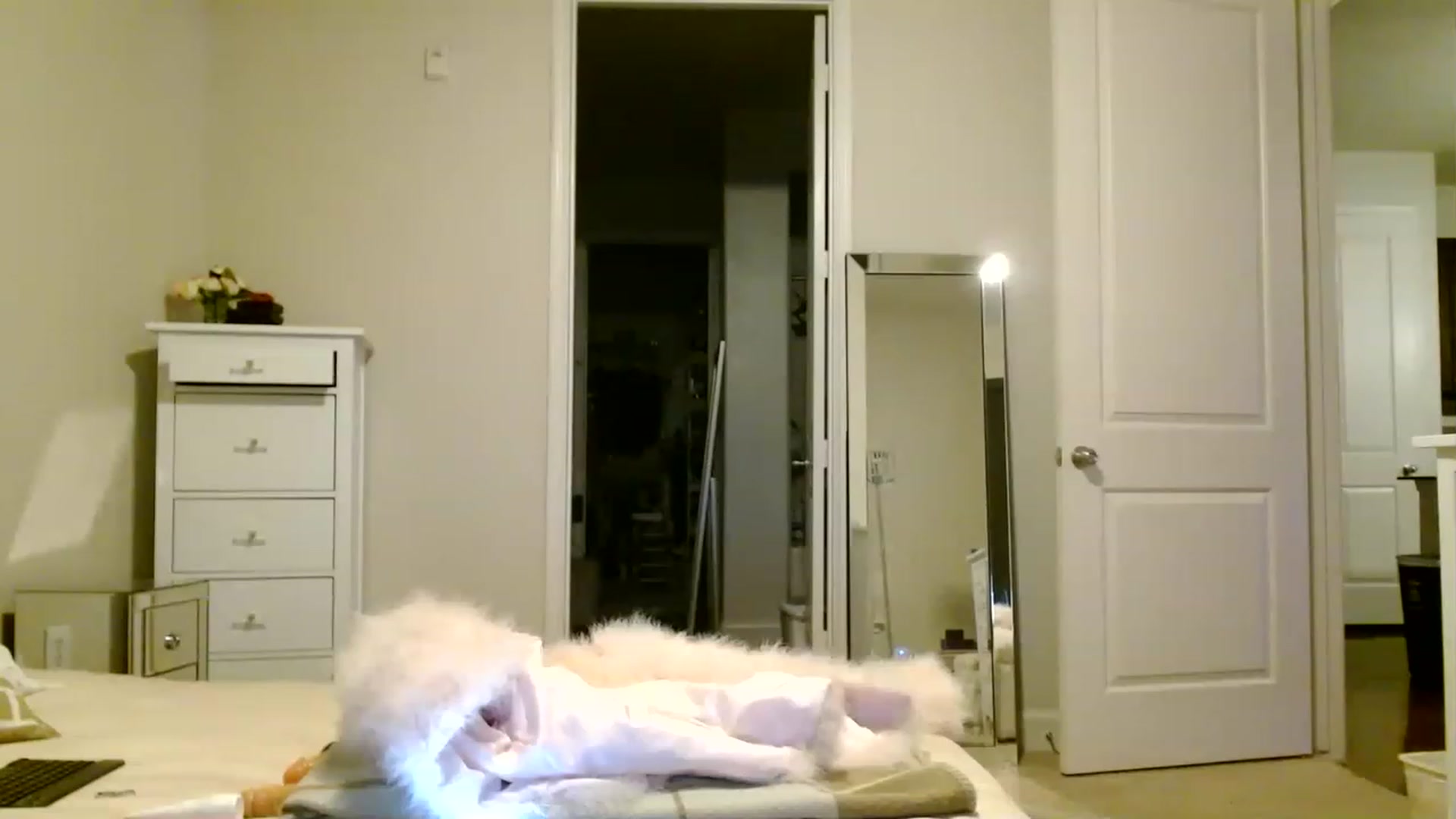 Gallery image thumbnail from Noelles's myfreecams stream on, 05/21/2023, 10:27 image 14 of 20