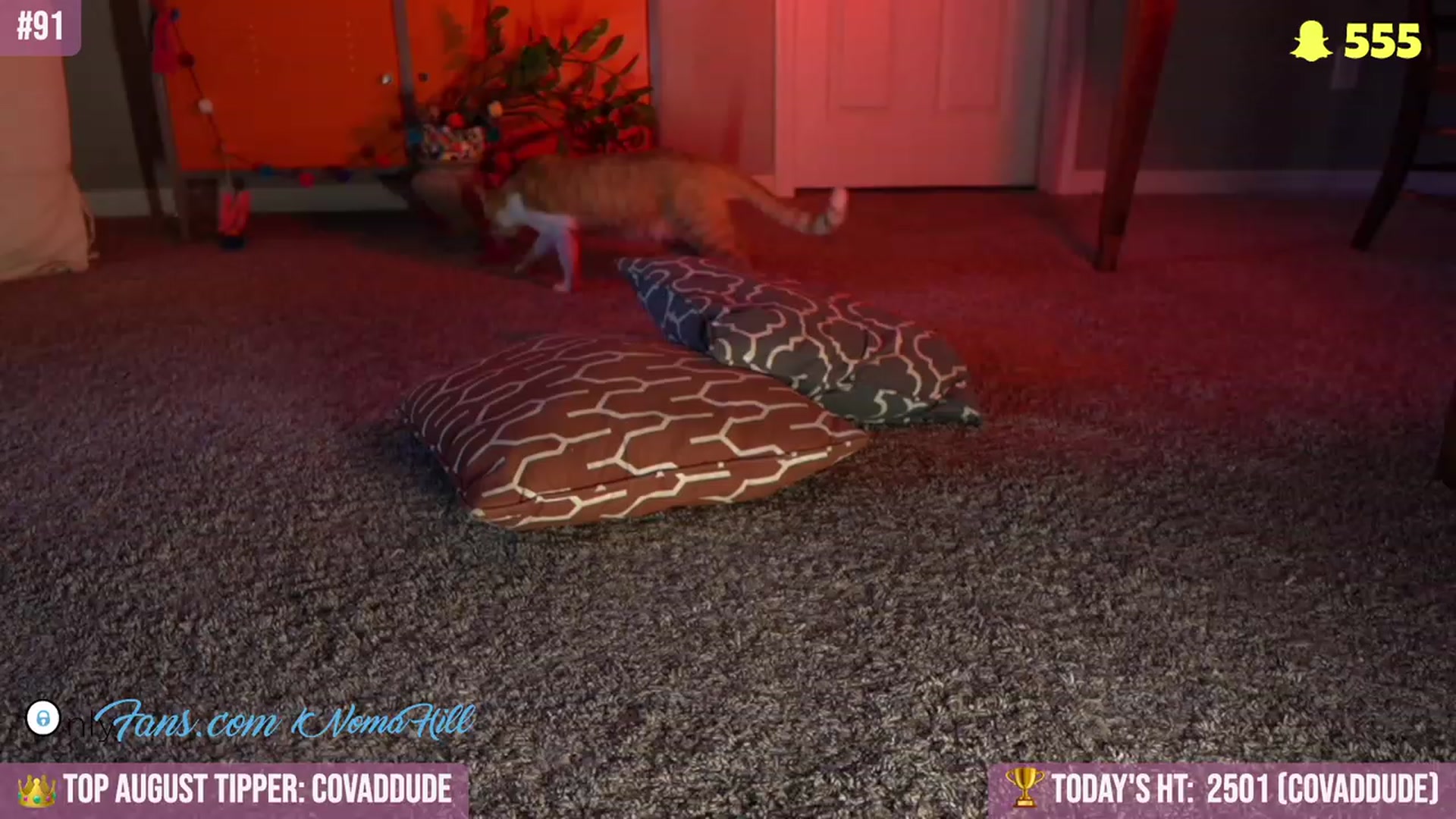 Gallery image thumbnail from Noma_Bday's myfreecams stream on, 08/18/2023, 23:55 image 8 of 20