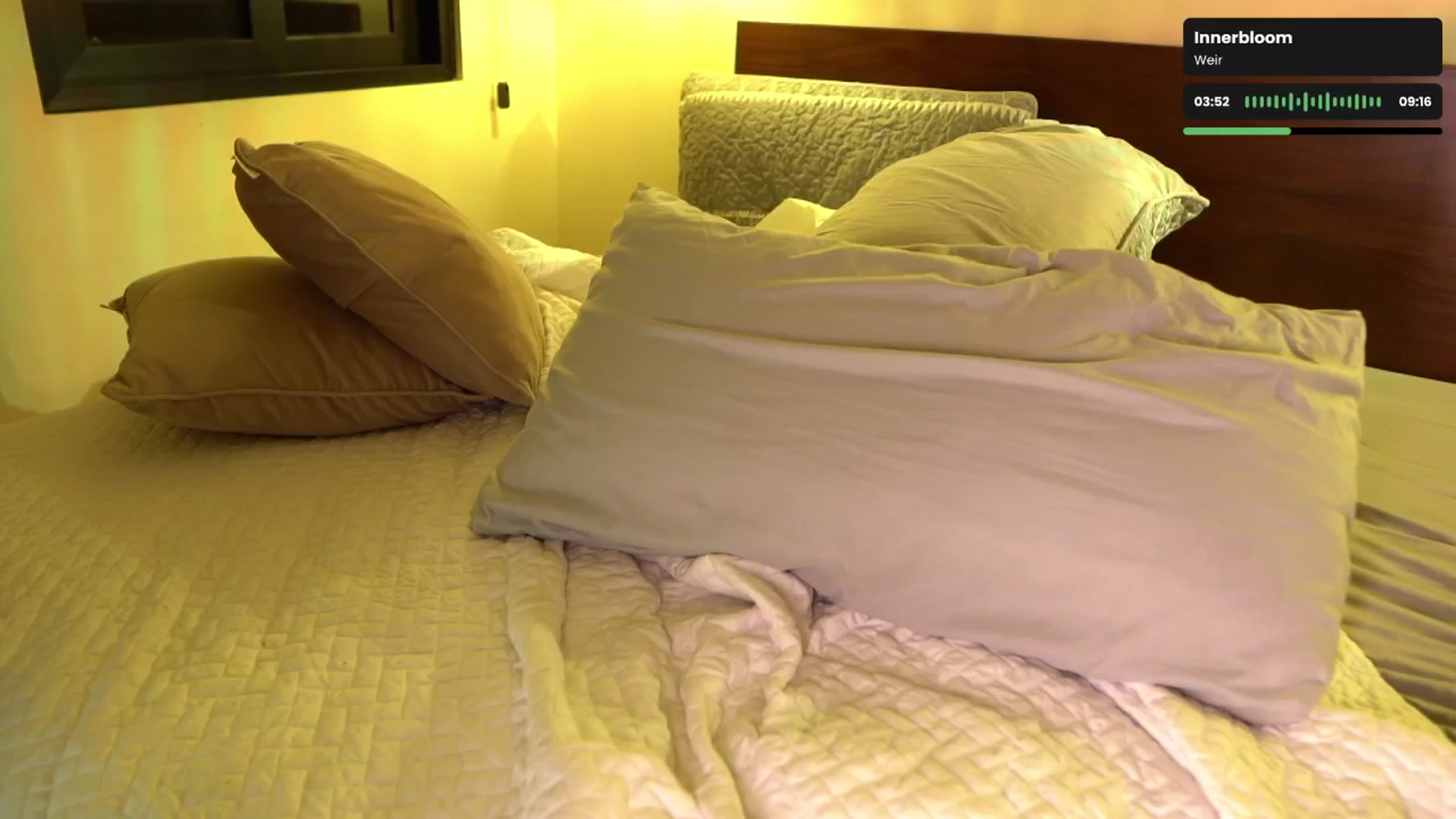Gallery image thumbnail from Noma_Bday's myfreecams stream on, 08/15/2024, 05:01 image 5 of 20