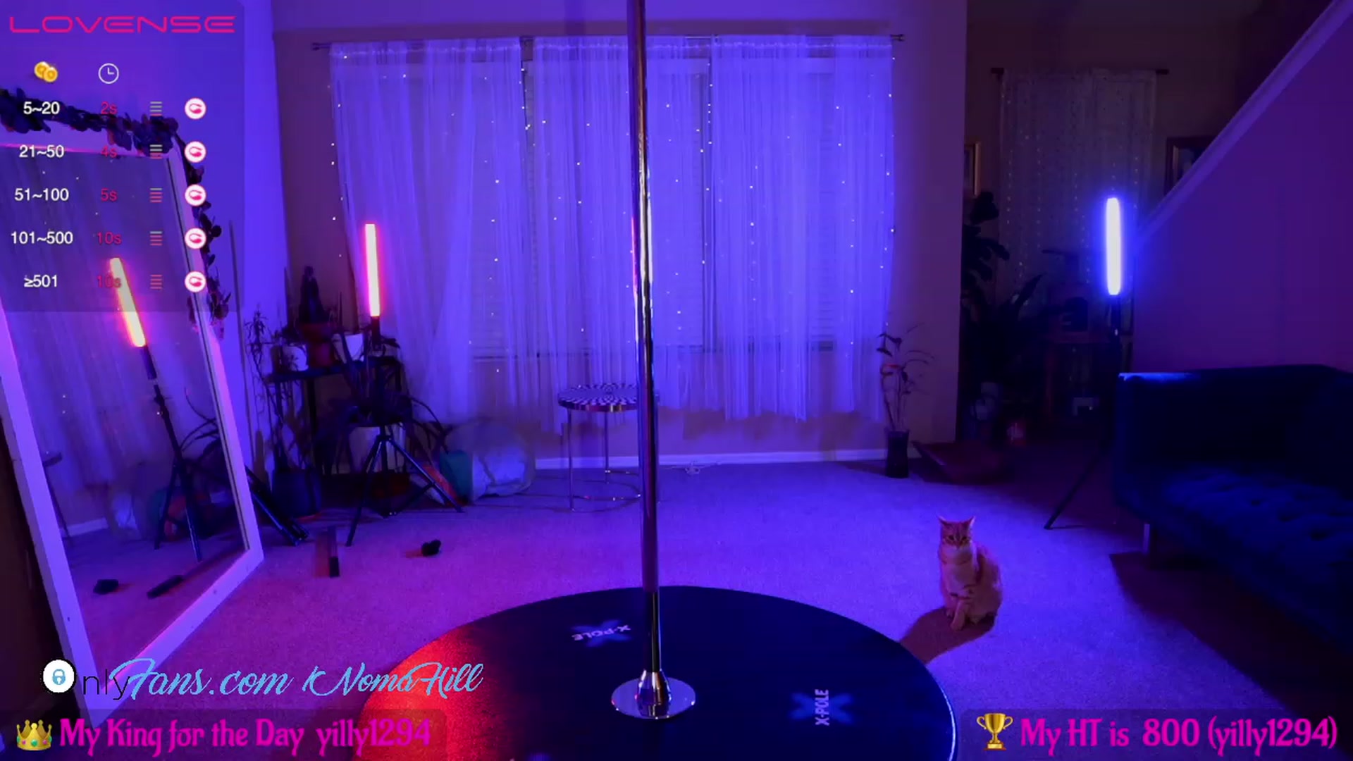 Gallery image thumbnail from Noma_Hill's myfreecams stream on, 02/24/2023, 01:07 image 11 of 20