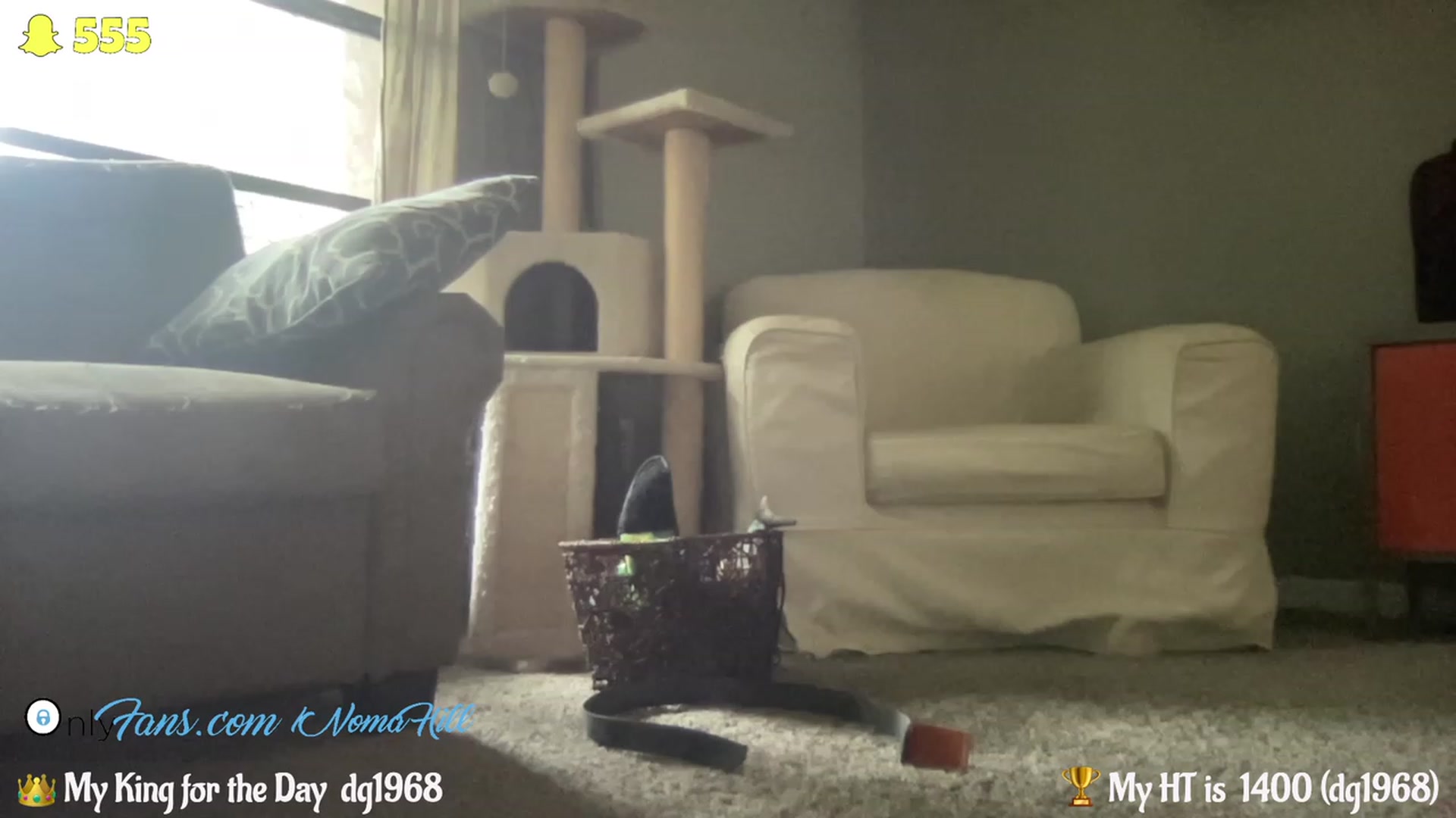 Gallery image thumbnail from Noma_Hill's myfreecams stream on, 06/20/2023, 19:50 image 19 of 20