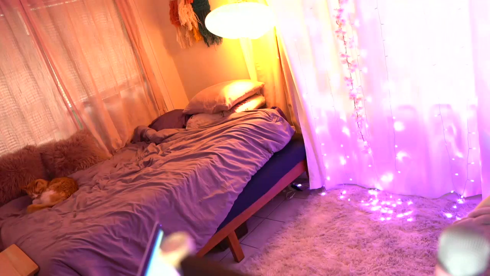 Gallery image thumbnail from Noma_Hill's myfreecams stream on, 09/19/2023, 23:12 image 1 of 20
