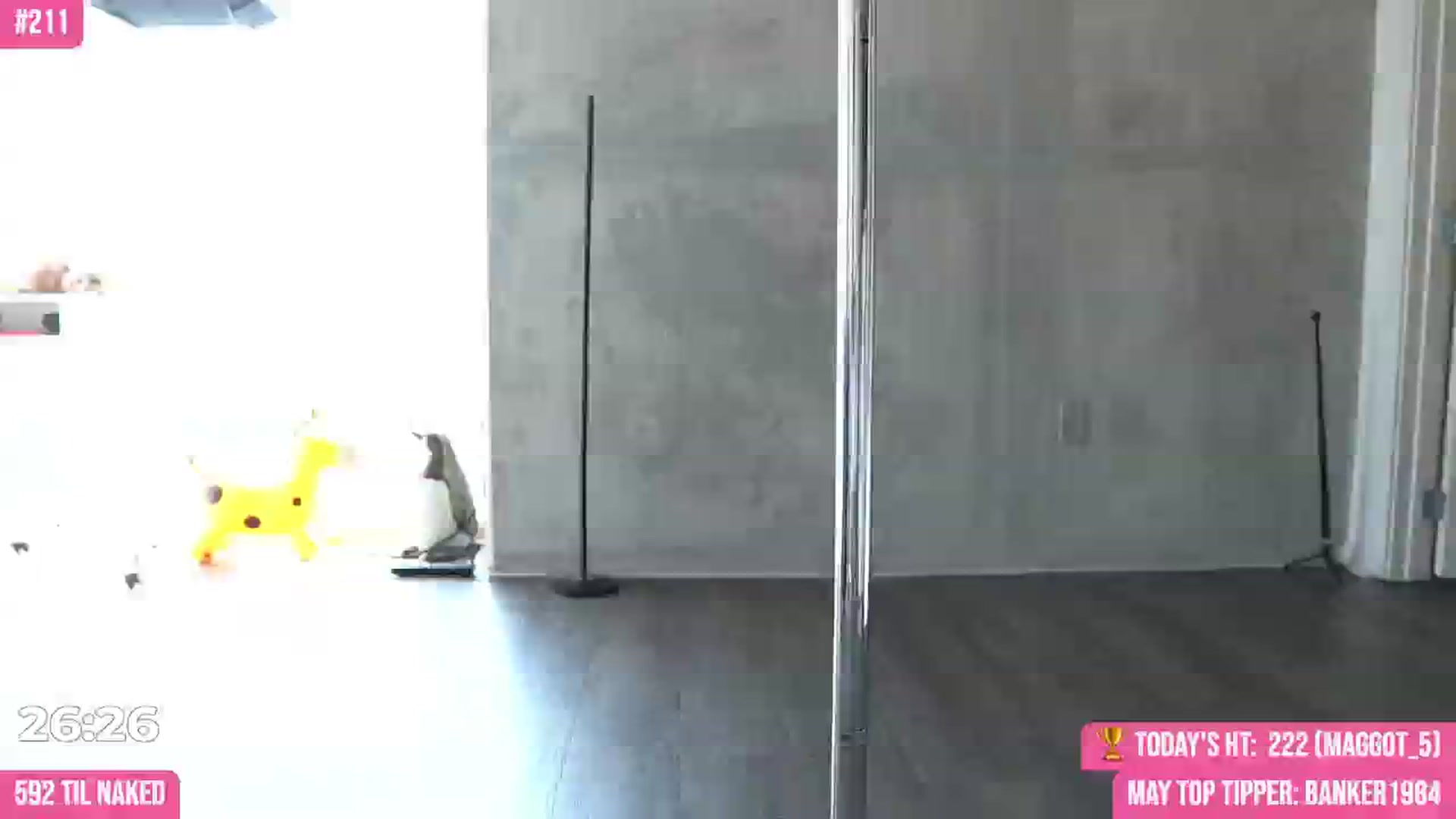 Gallery image thumbnail from Noma_Hill's myfreecams stream on, 05/24/2024, 23:37 image 12 of 20