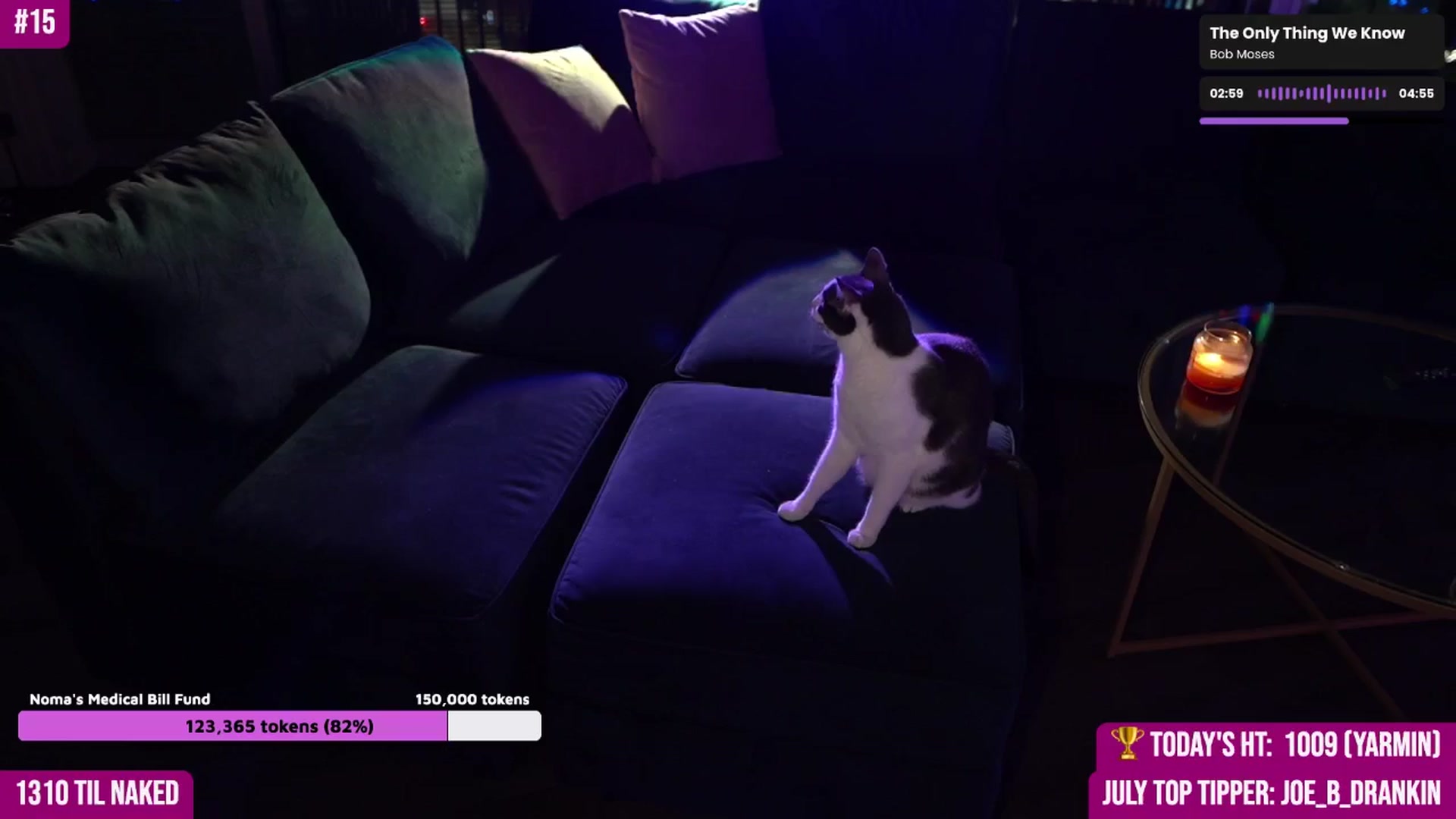 Gallery image thumbnail from Noma_Hill's myfreecams stream on, 07/23/2024, 03:49 image 11 of 20