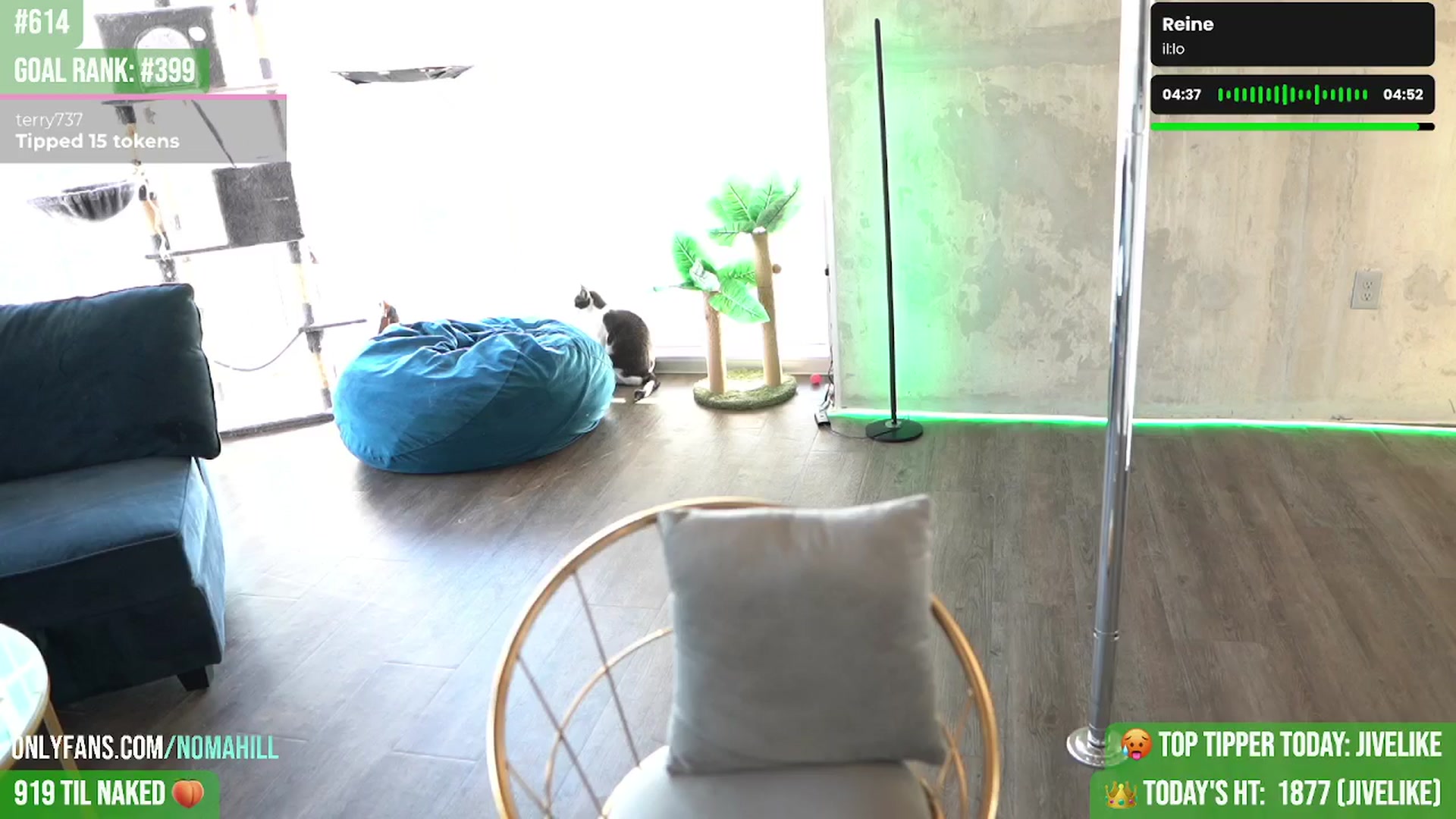 Gallery image thumbnail from Noma_Hill's myfreecams stream on, 04/18/2025, 02:17 image 5 of 20