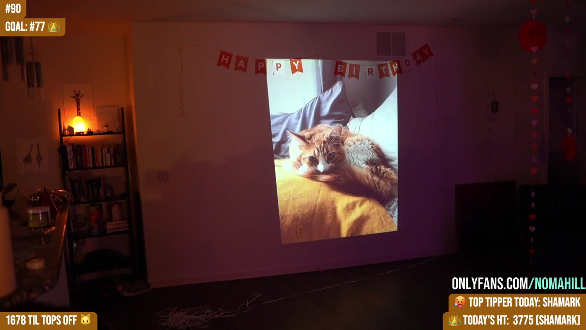 Gallery image thumbnail from Noma_Hill's myfreecams stream on, 05/11/2025, 04:14 image 2 of 20