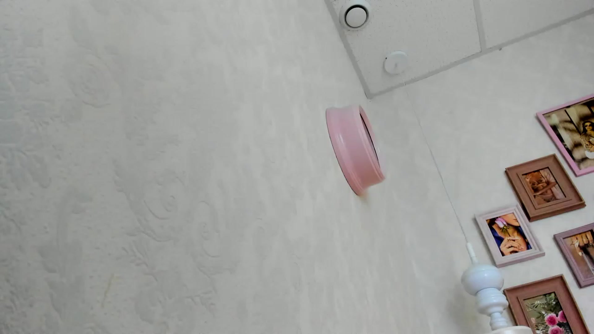 Gallery image thumbnail from Nomoney1212's myfreecams stream on, 07/27/2023, 18:36 image 3 of 20