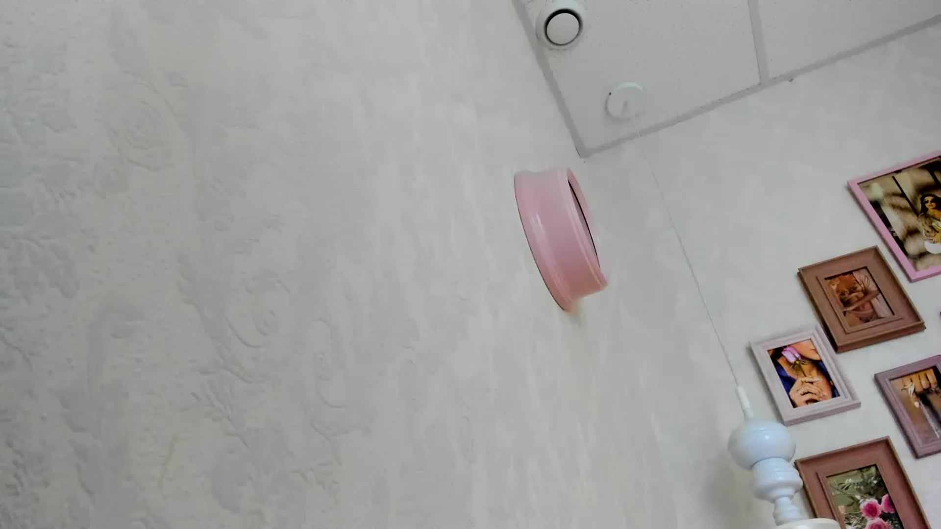 Gallery image thumbnail from Nomoney1212's myfreecams stream on, 07/27/2023, 18:36 image 18 of 20