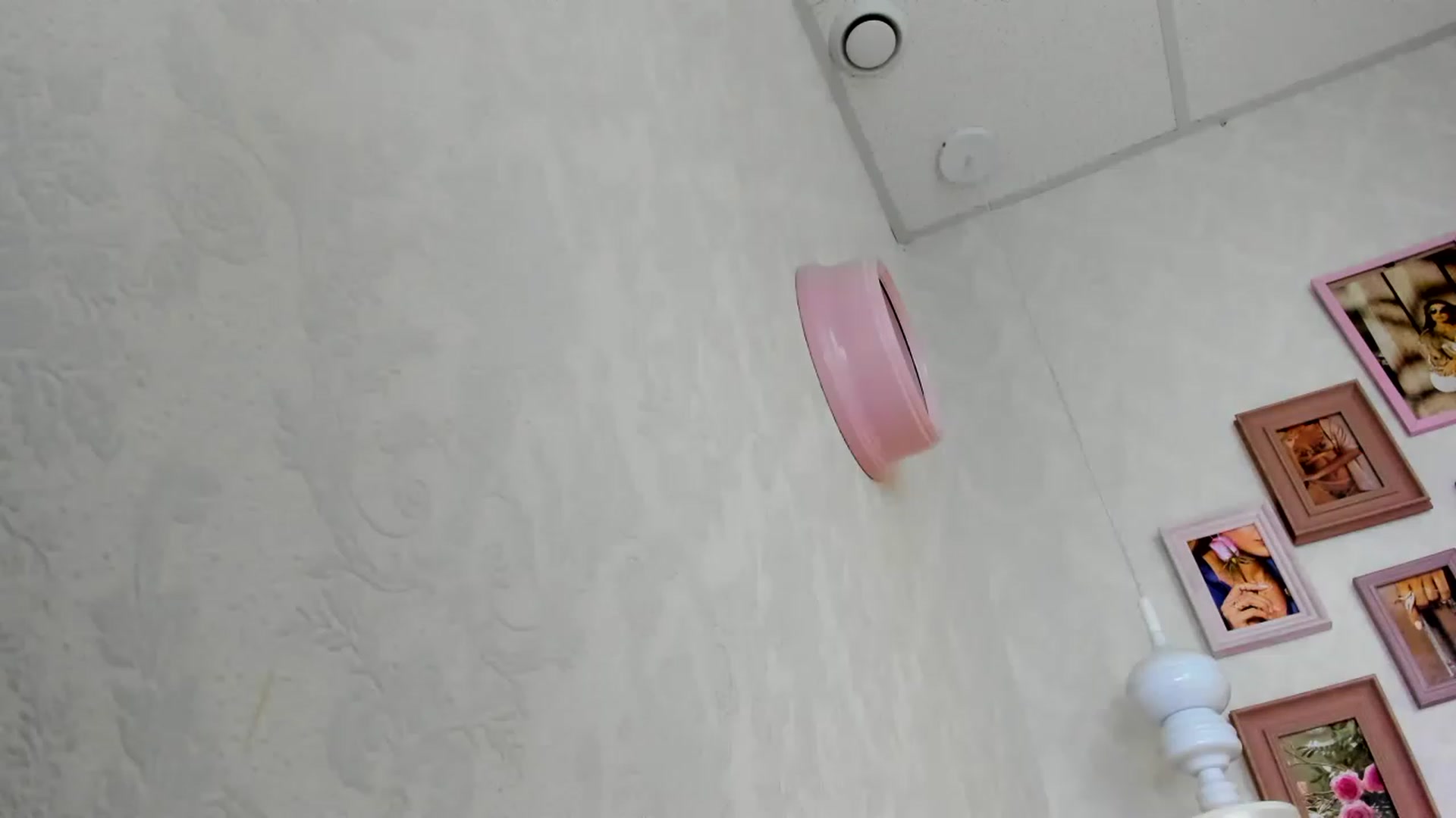 Gallery image thumbnail from Nomoney1212's myfreecams stream on, 07/27/2023, 18:36 image 14 of 20