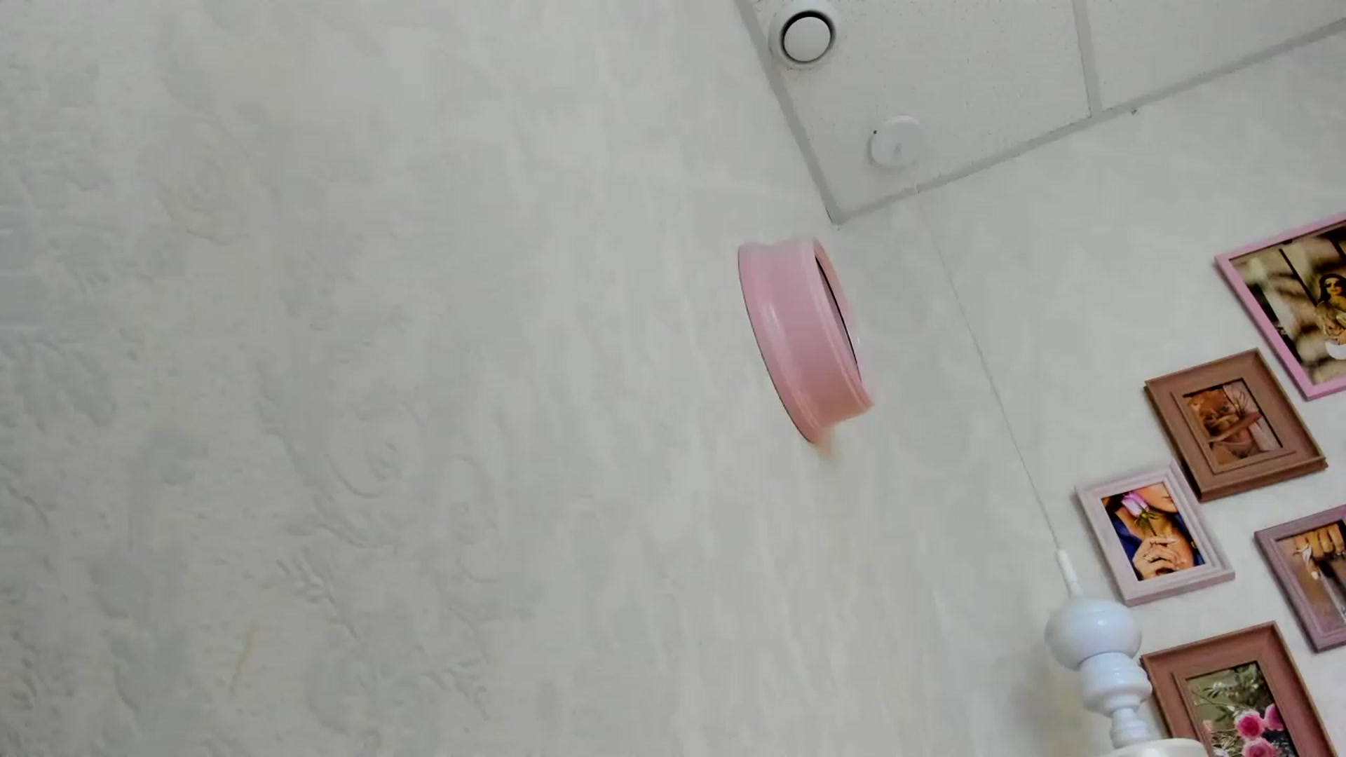 Gallery image thumbnail from Nomoney1212's myfreecams stream on, 07/27/2023, 18:36 image 2 of 20