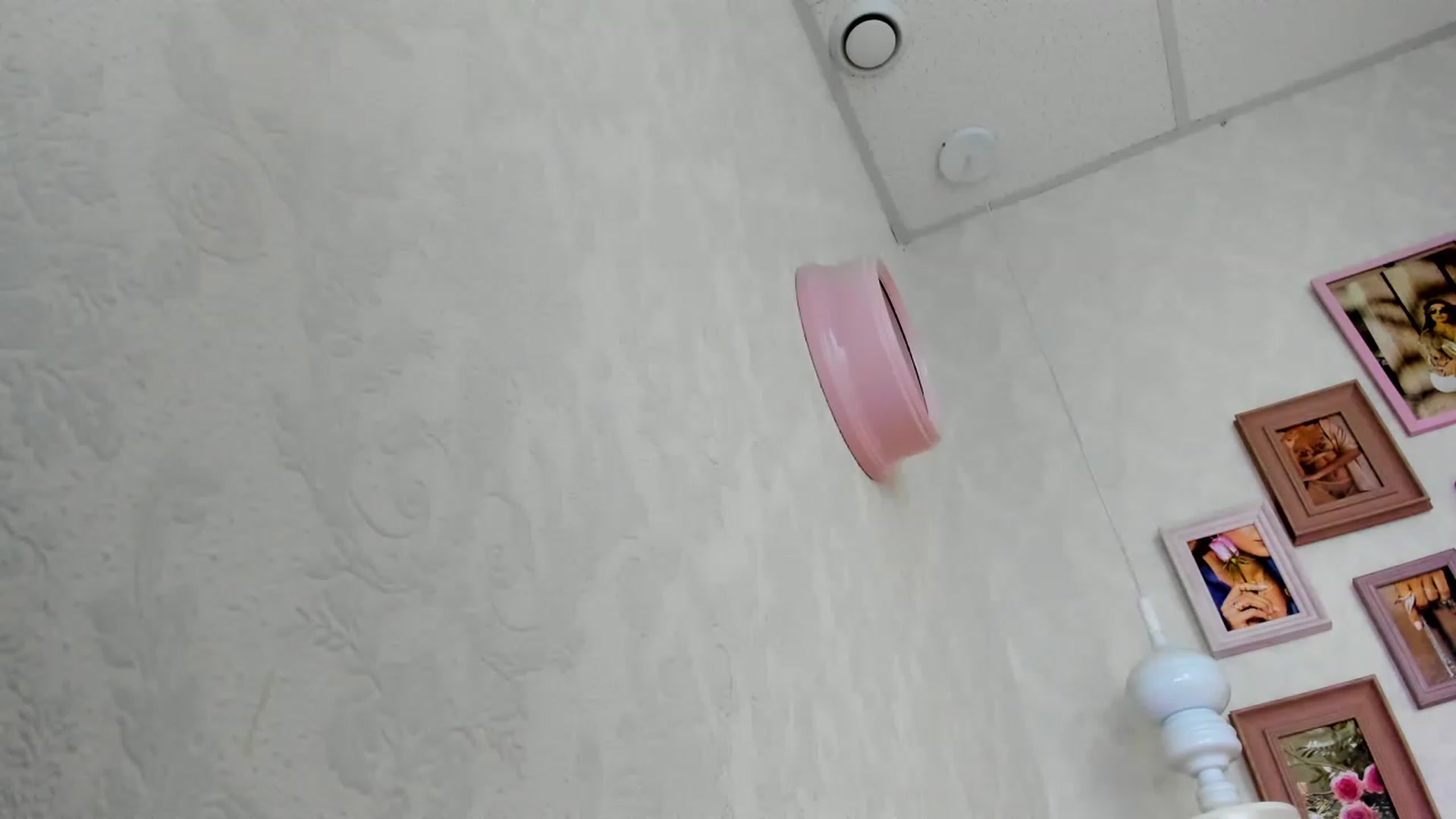 Gallery image thumbnail from Nomoney1212's myfreecams stream on, 07/27/2023, 18:36 image 9 of 20