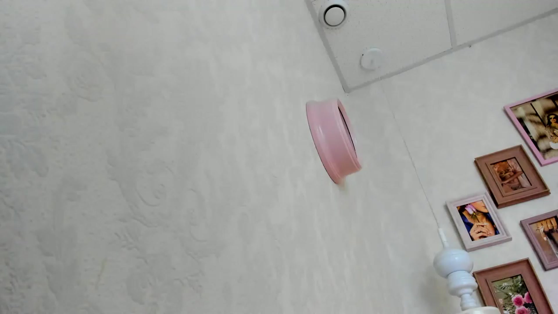 Gallery image thumbnail from Nomoney1212's myfreecams stream on, 07/27/2023, 18:36 image 4 of 20