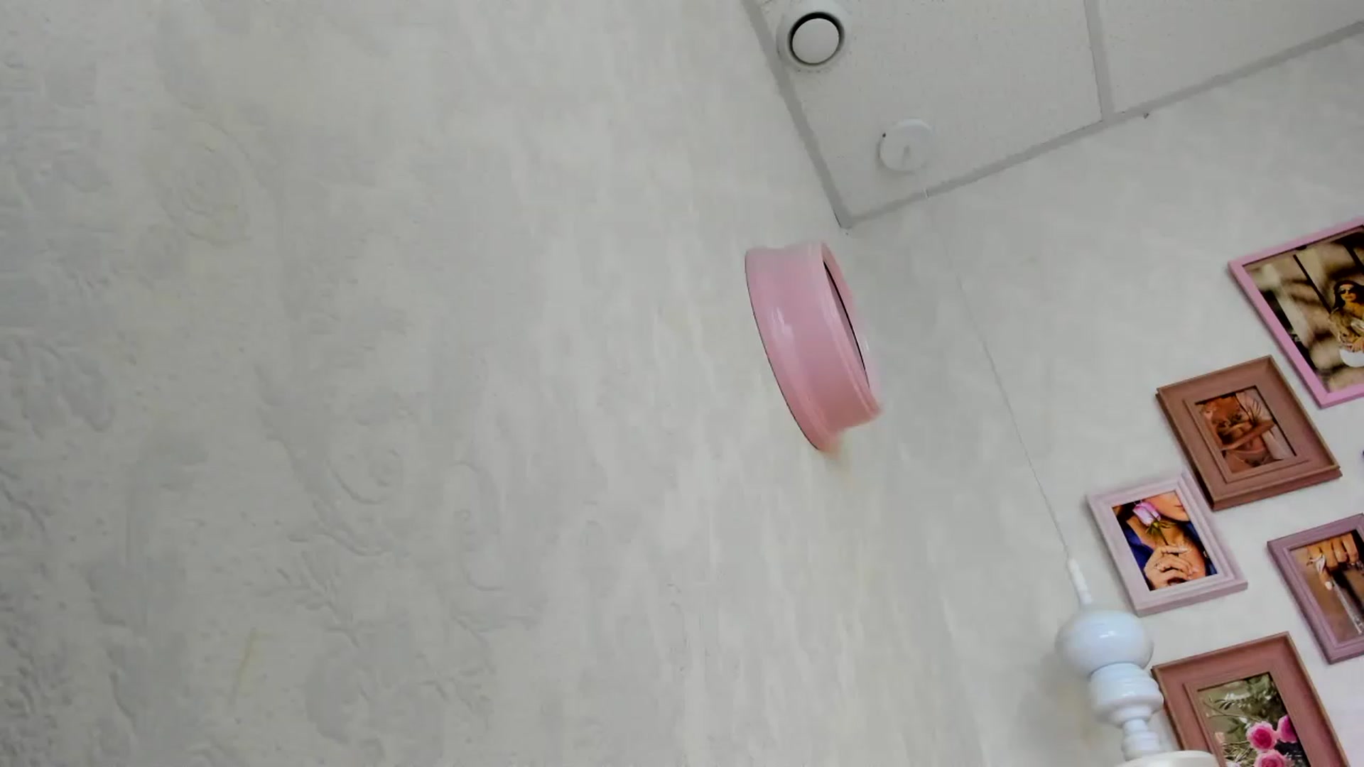 Gallery image thumbnail from Nomoney1212's myfreecams stream on, 07/27/2023, 18:36 image 7 of 20