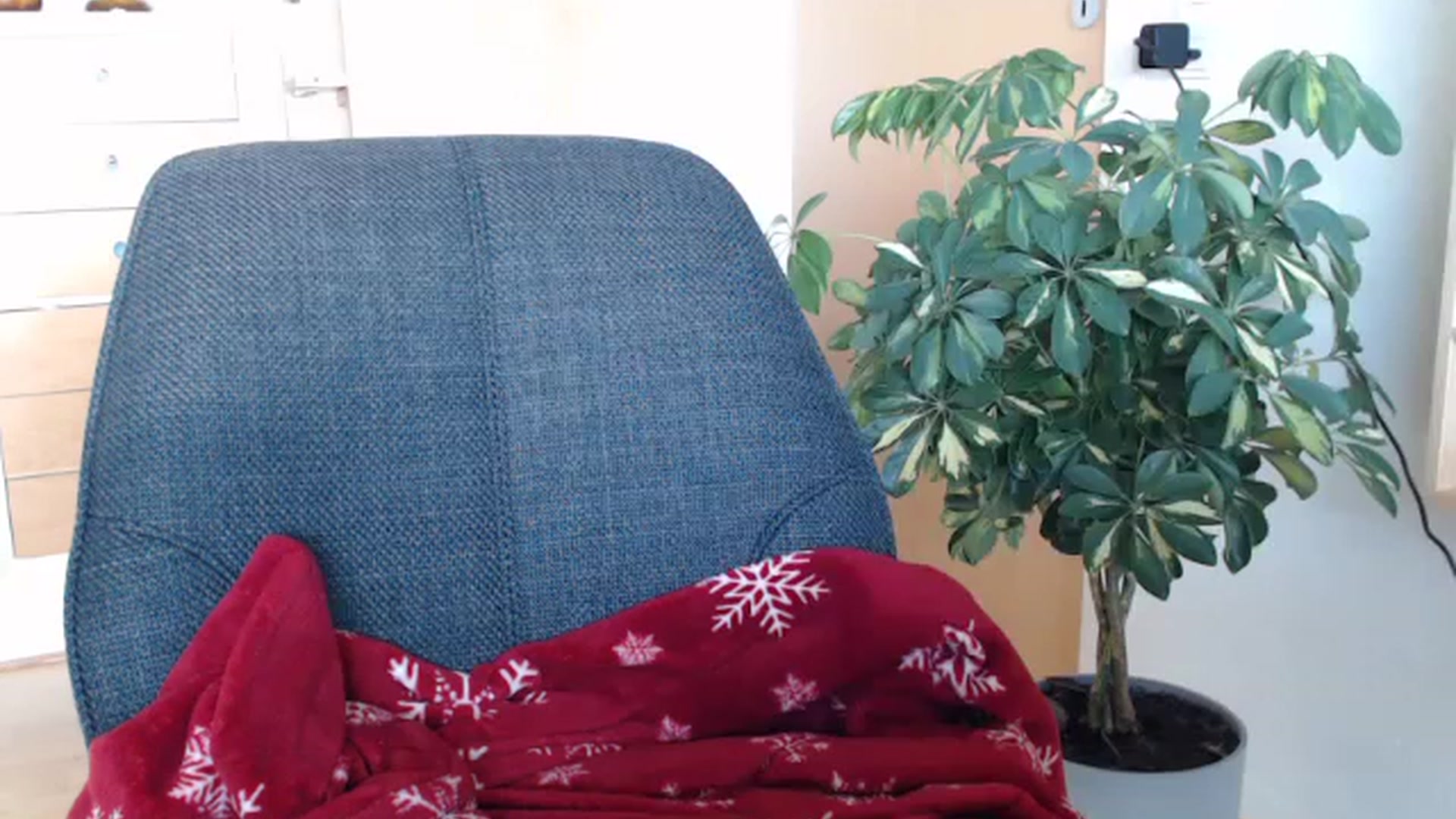 Gallery image thumbnail from Nora_Sweet's myfreecams stream on, 01/16/2023, 11:24 image 6 of 20