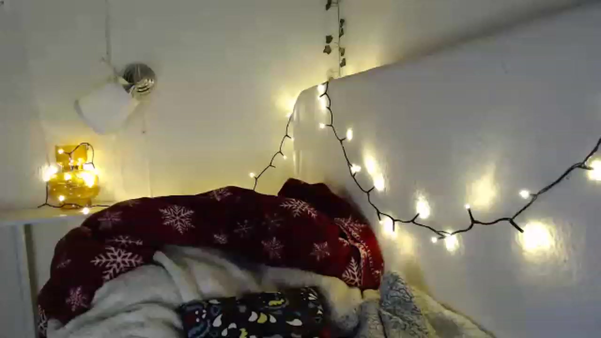 Gallery image thumbnail from Nora_Sweet's myfreecams stream on, 03/20/2023, 10:43 image 20 of 20