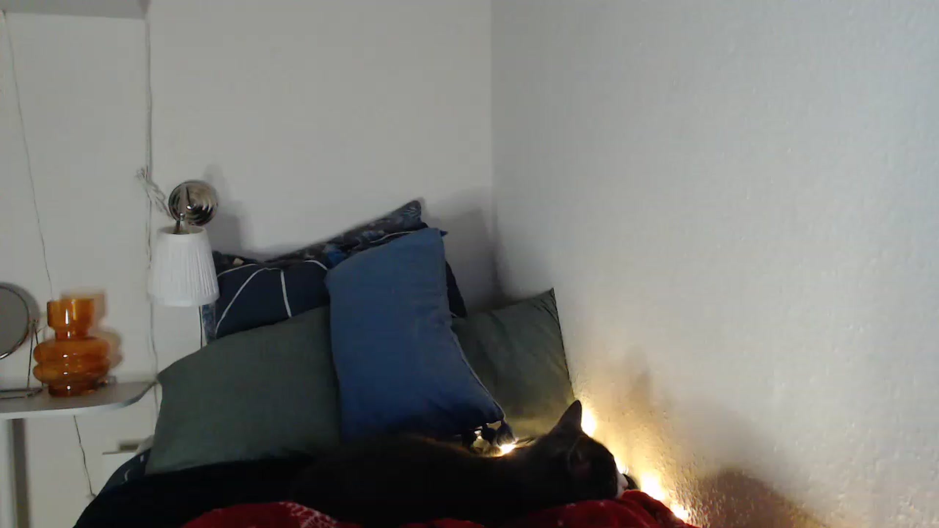 Gallery image thumbnail from Nora_Sweet's myfreecams stream on, 04/18/2023, 08:37 image 16 of 20