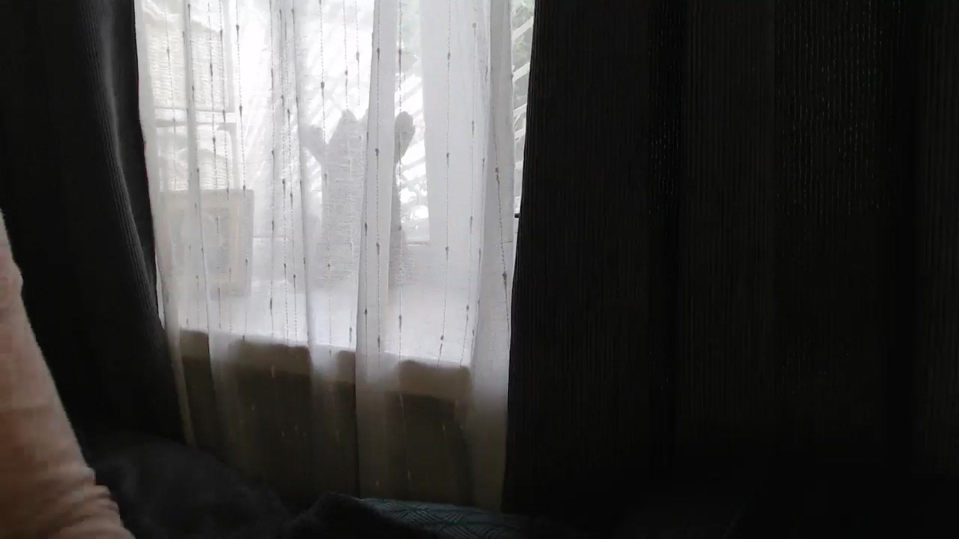 Gallery image thumbnail from Nora_Sweet's myfreecams stream on, 09/03/2024, 12:49 image 16 of 20