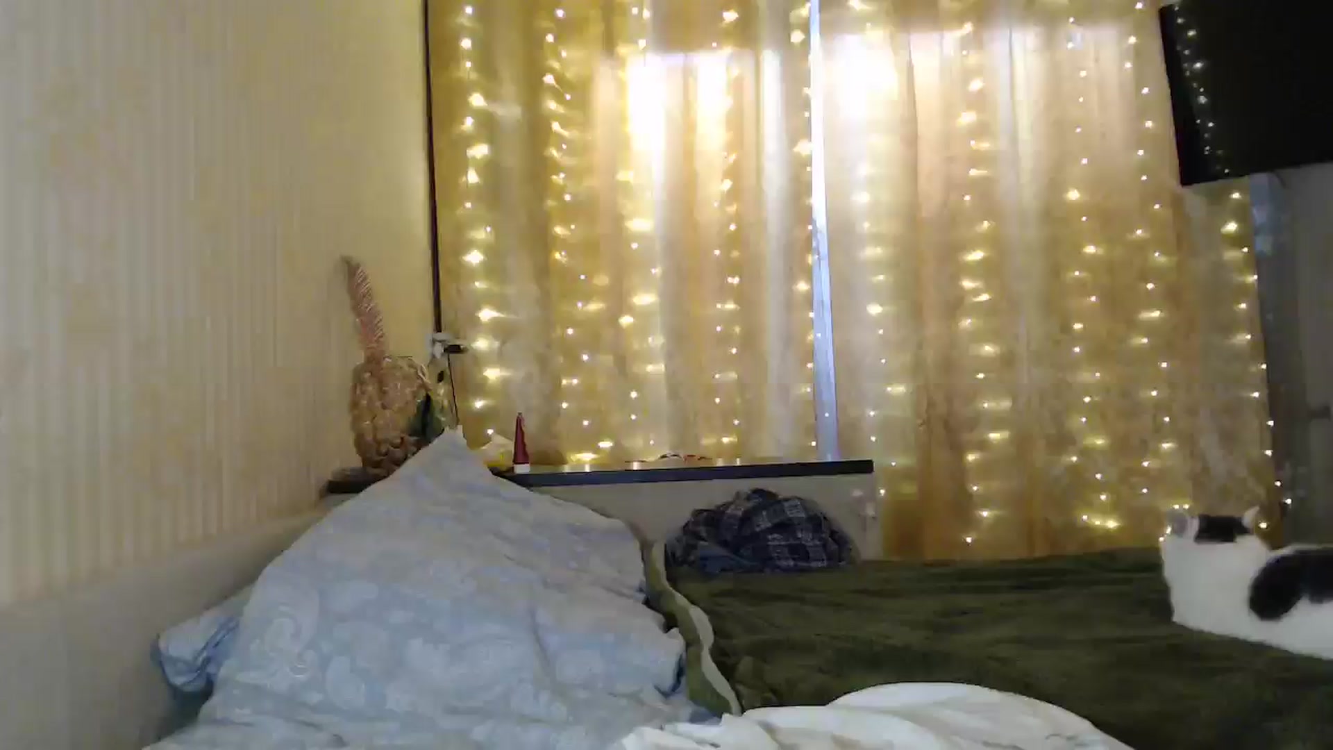Gallery image thumbnail from Nora_Sweet's myfreecams stream on, 12/13/2024, 12:27 image 15 of 20