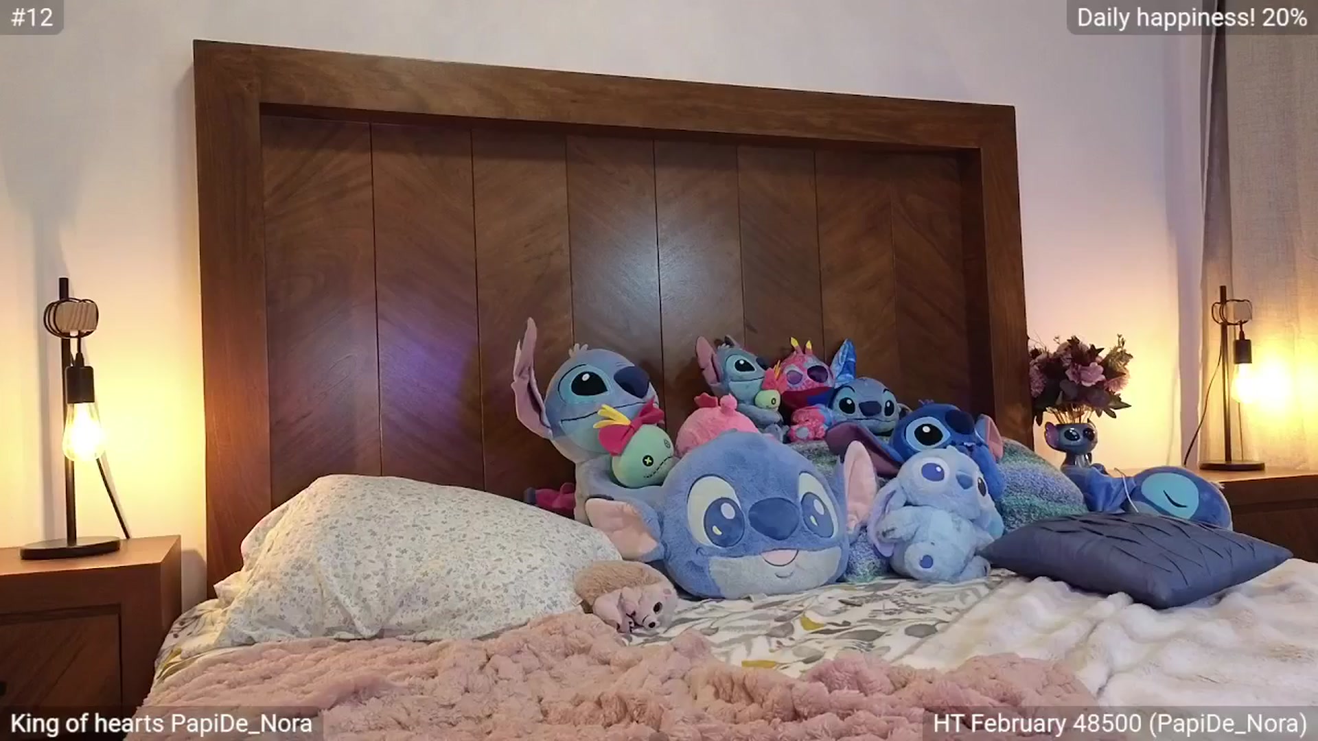 Gallery image thumbnail from Nora__'s myfreecams stream on, 02/24/2025, 06:51 image 7 of 20