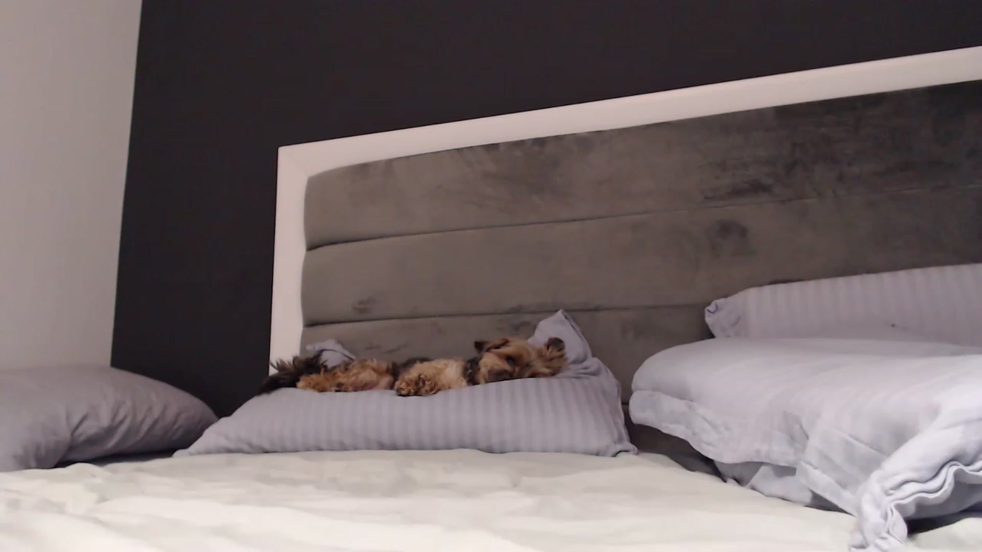 Gallery image thumbnail from NormalGirl's myfreecams stream on, 01/01/2023, 15:14 image 13 of 20