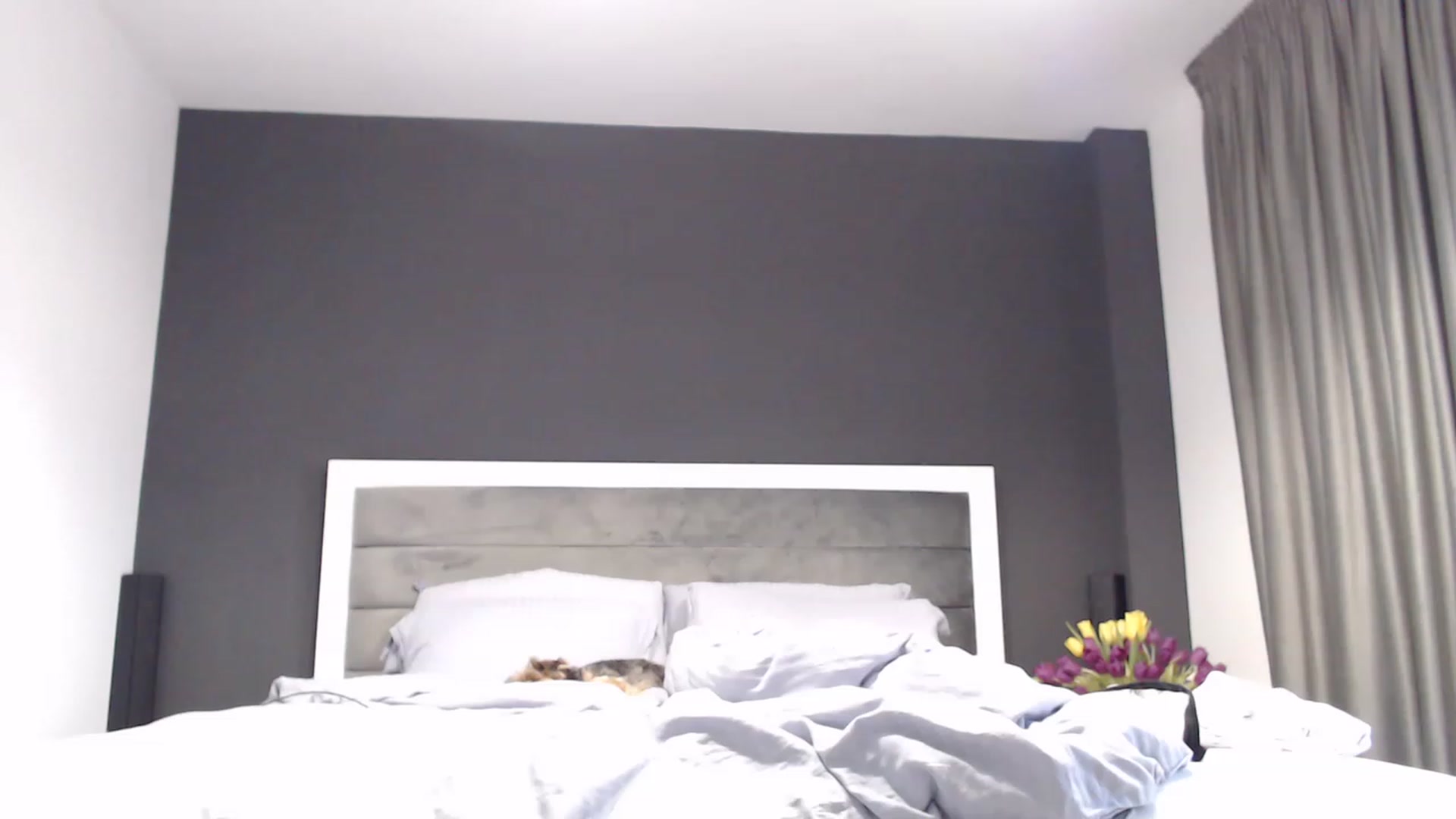 Gallery image thumbnail from NormalGirl's myfreecams stream on, 03/04/2023, 15:25 image 1 of 20