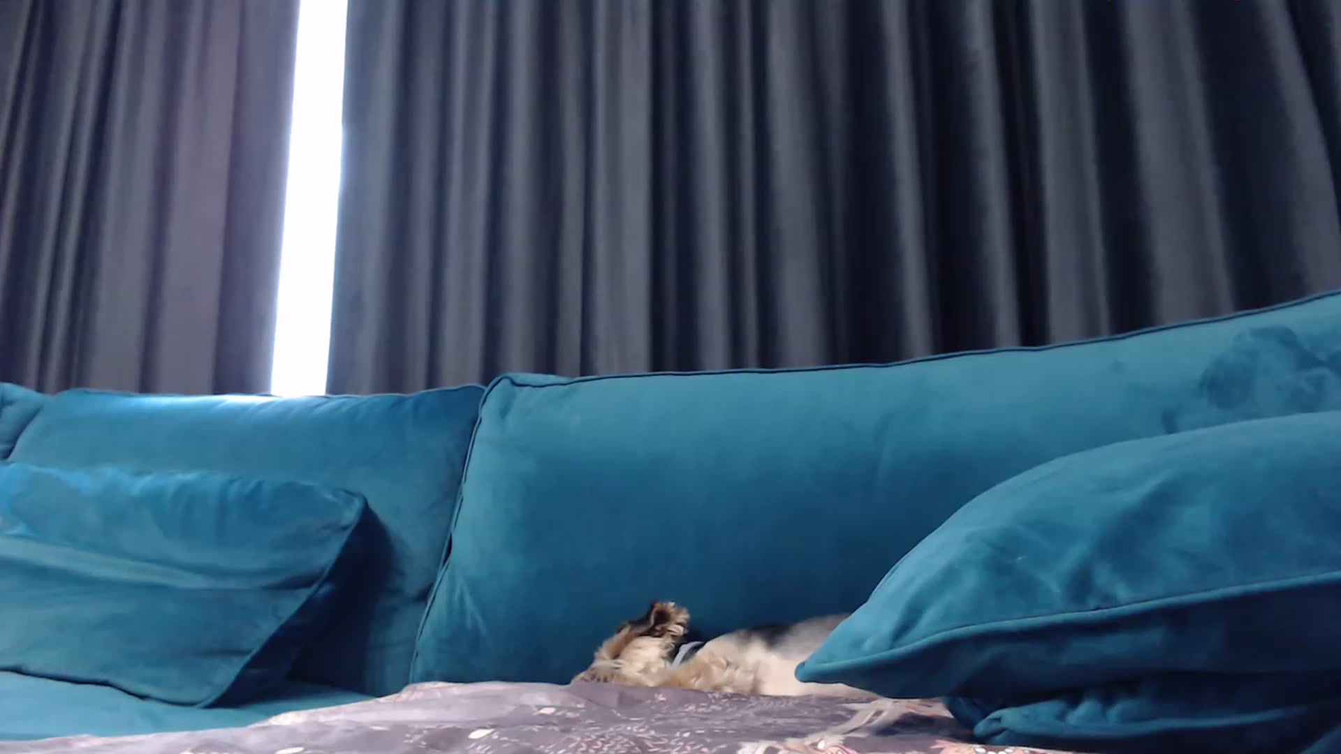 Gallery image thumbnail from NormalGirl's myfreecams stream on, 08/16/2023, 13:57 image 12 of 20