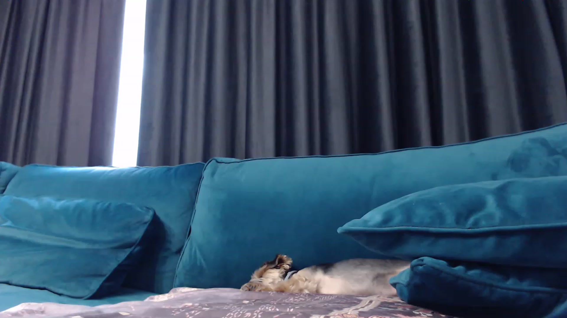Gallery image thumbnail from NormalGirl's myfreecams stream on, 08/16/2023, 13:57 image 10 of 20
