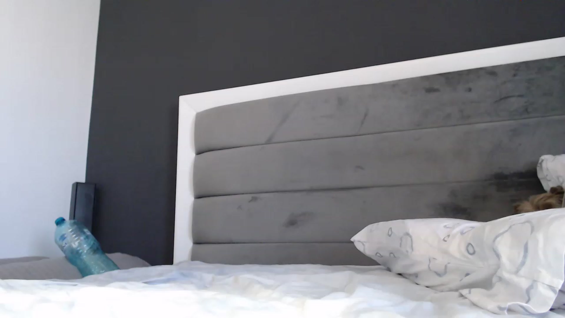 Gallery image thumbnail from NormalGirl's myfreecams stream on, 08/27/2023, 11:39 image 18 of 20