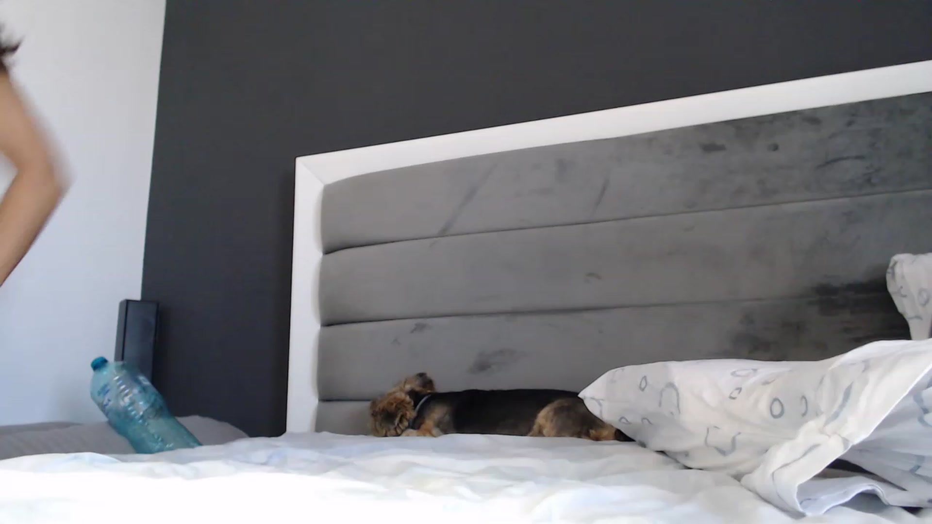 Gallery image thumbnail from NormalGirl's myfreecams stream on, 08/27/2023, 11:39 image 17 of 20