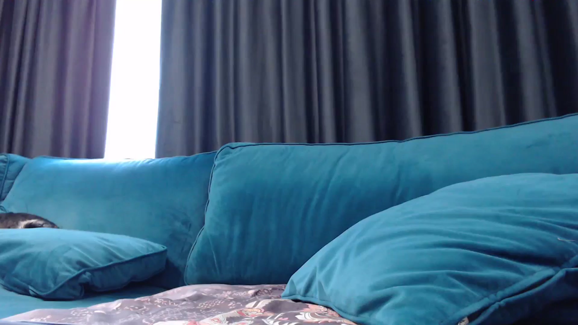 Gallery image thumbnail from NormalGirl's myfreecams stream on, 09/01/2023, 13:59 image 8 of 20