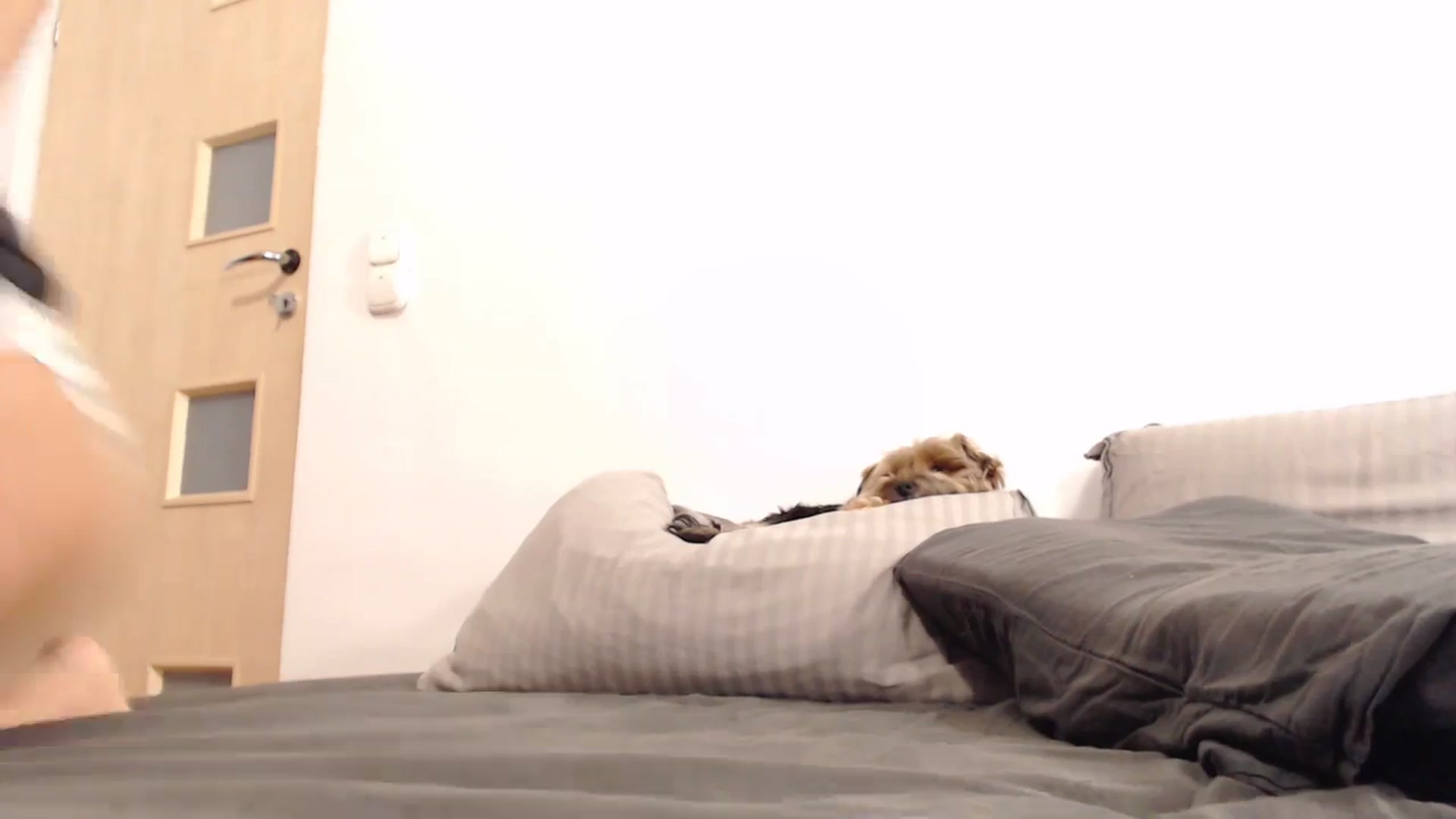 Gallery image thumbnail from NormalGirl's myfreecams stream on, 12/19/2023, 17:48 image 16 of 20