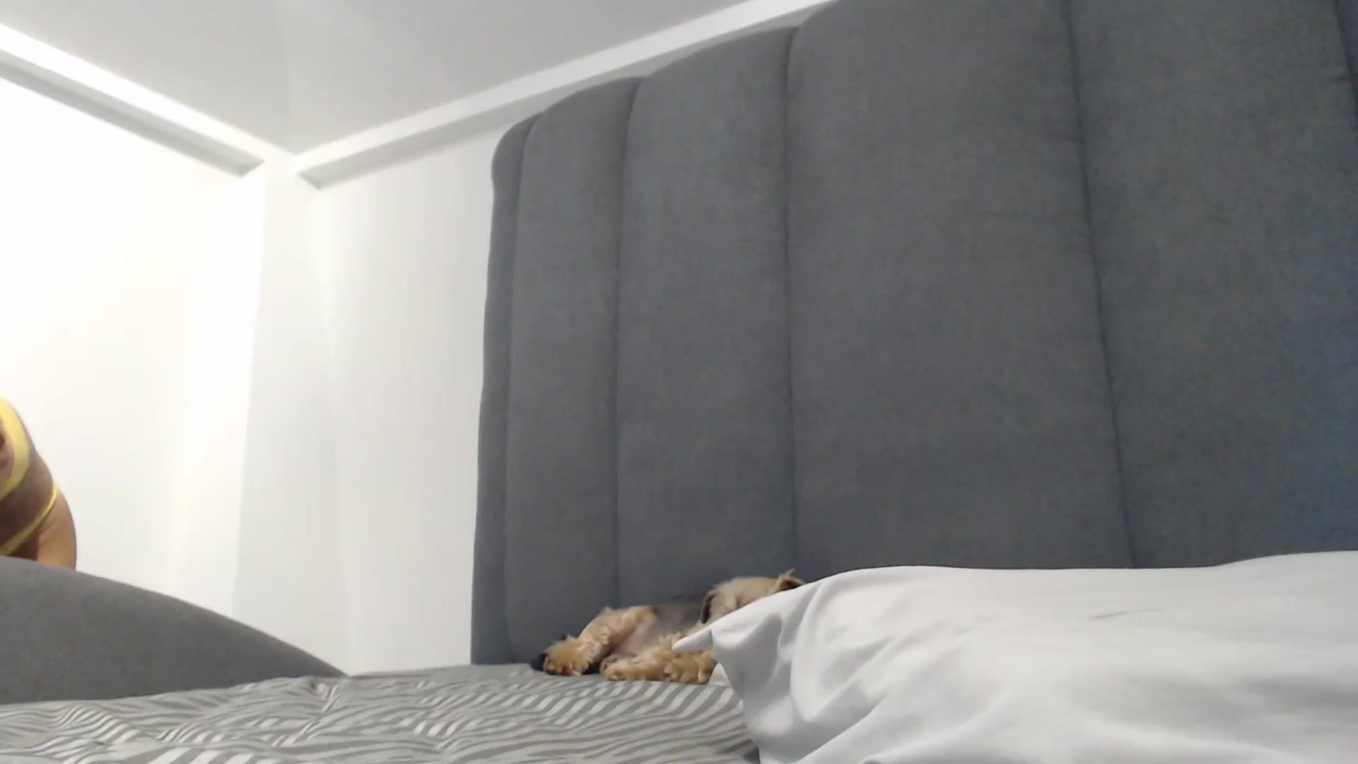 Gallery image thumbnail from NormalGirl's myfreecams stream on, 06/16/2024, 04:24 image 14 of 20