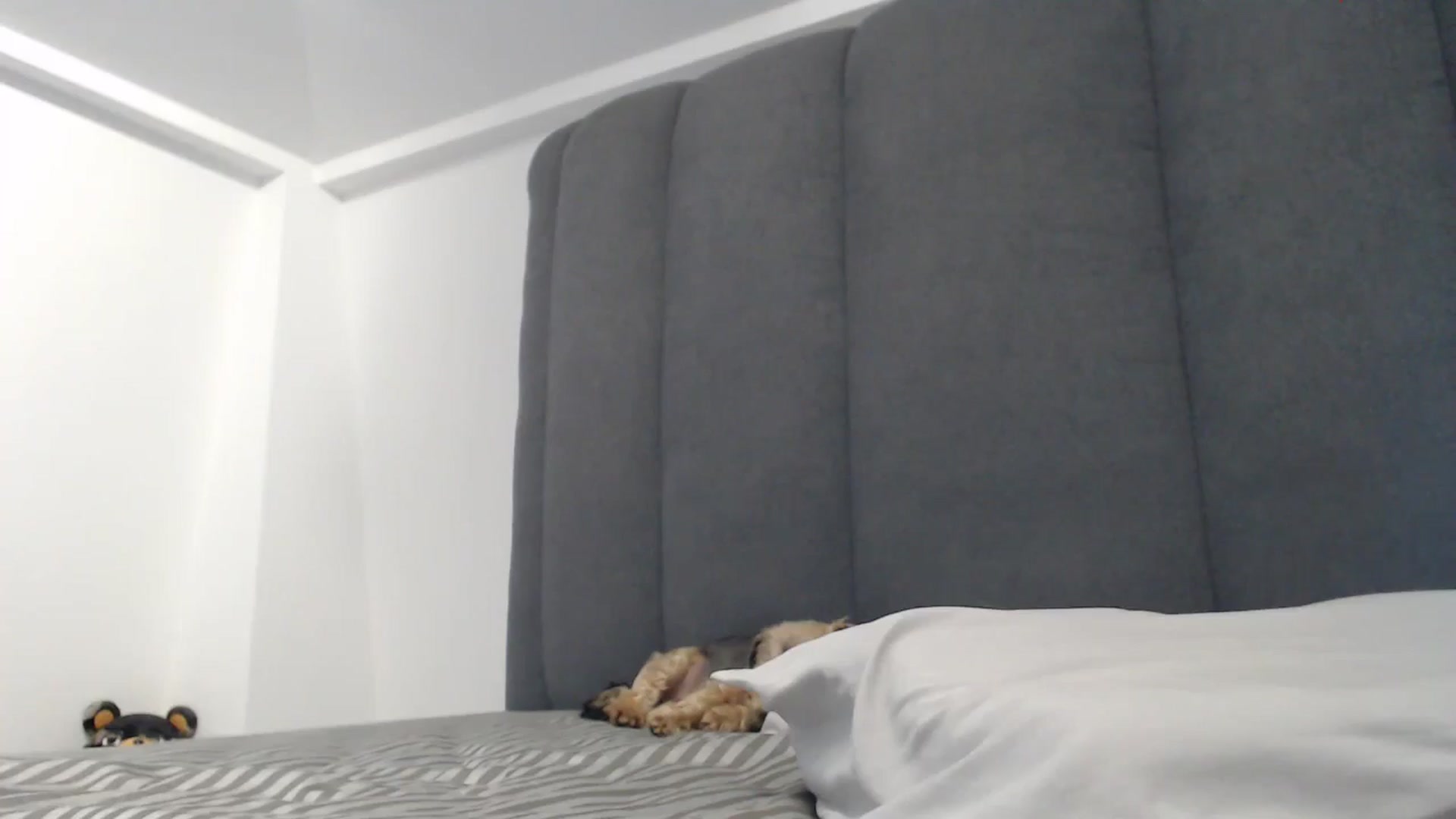 Gallery image thumbnail from NormalGirl's myfreecams stream on, 06/16/2024, 04:24 image 11 of 20