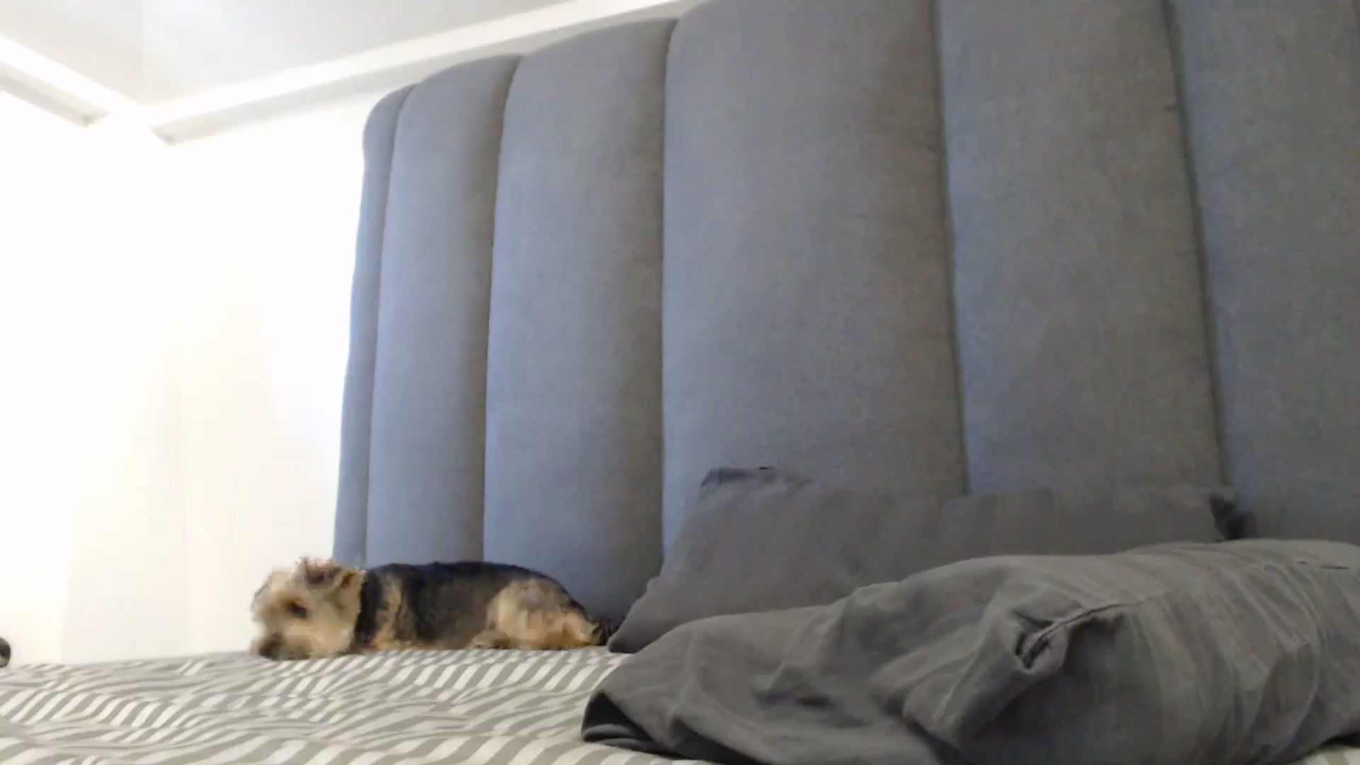 Gallery image thumbnail from NormalGirl's myfreecams stream on, 07/05/2024, 13:18 image 14 of 20