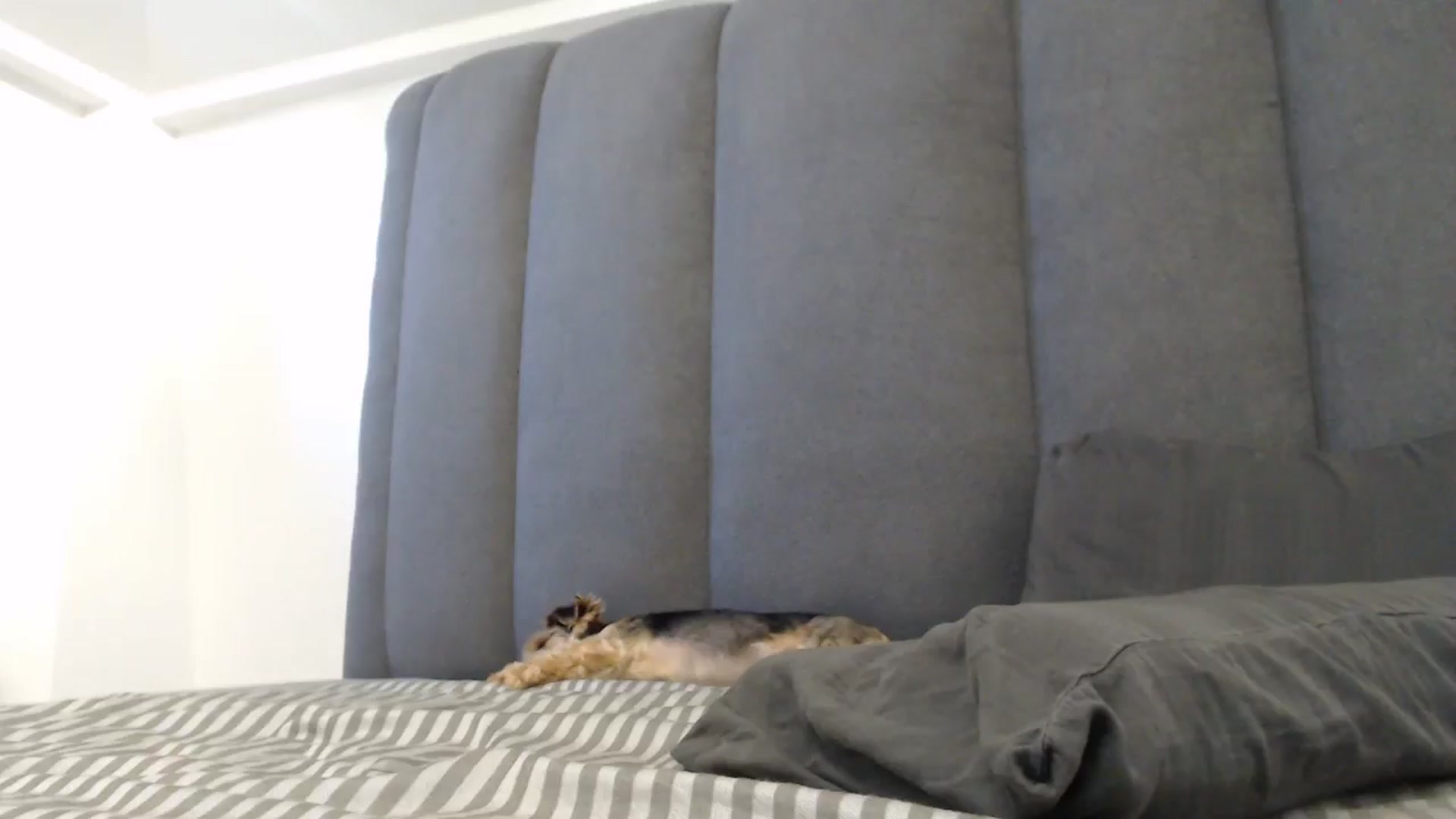 Gallery image thumbnail from NormalGirl's myfreecams stream on, 07/06/2024, 06:13 image 18 of 20