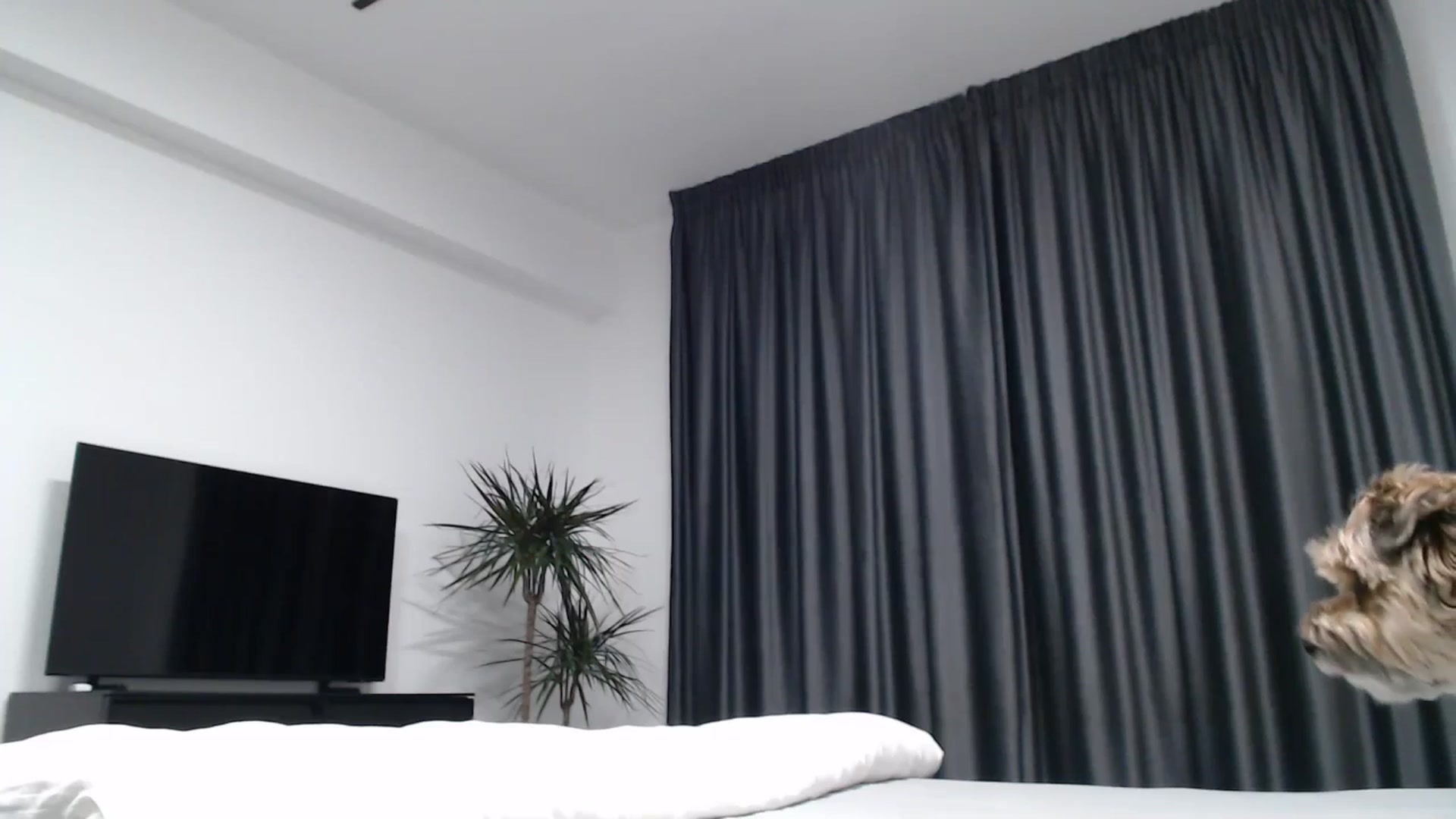 Gallery image thumbnail from NormalGirl's myfreecams stream on, 06/02/2025, 15:19 image 3 of 20