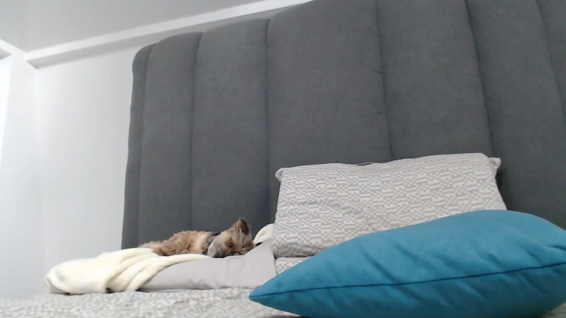 Gallery image thumbnail from NormalGirl's myfreecams stream on, 12/31/2025, 08:05 image 1 of 20