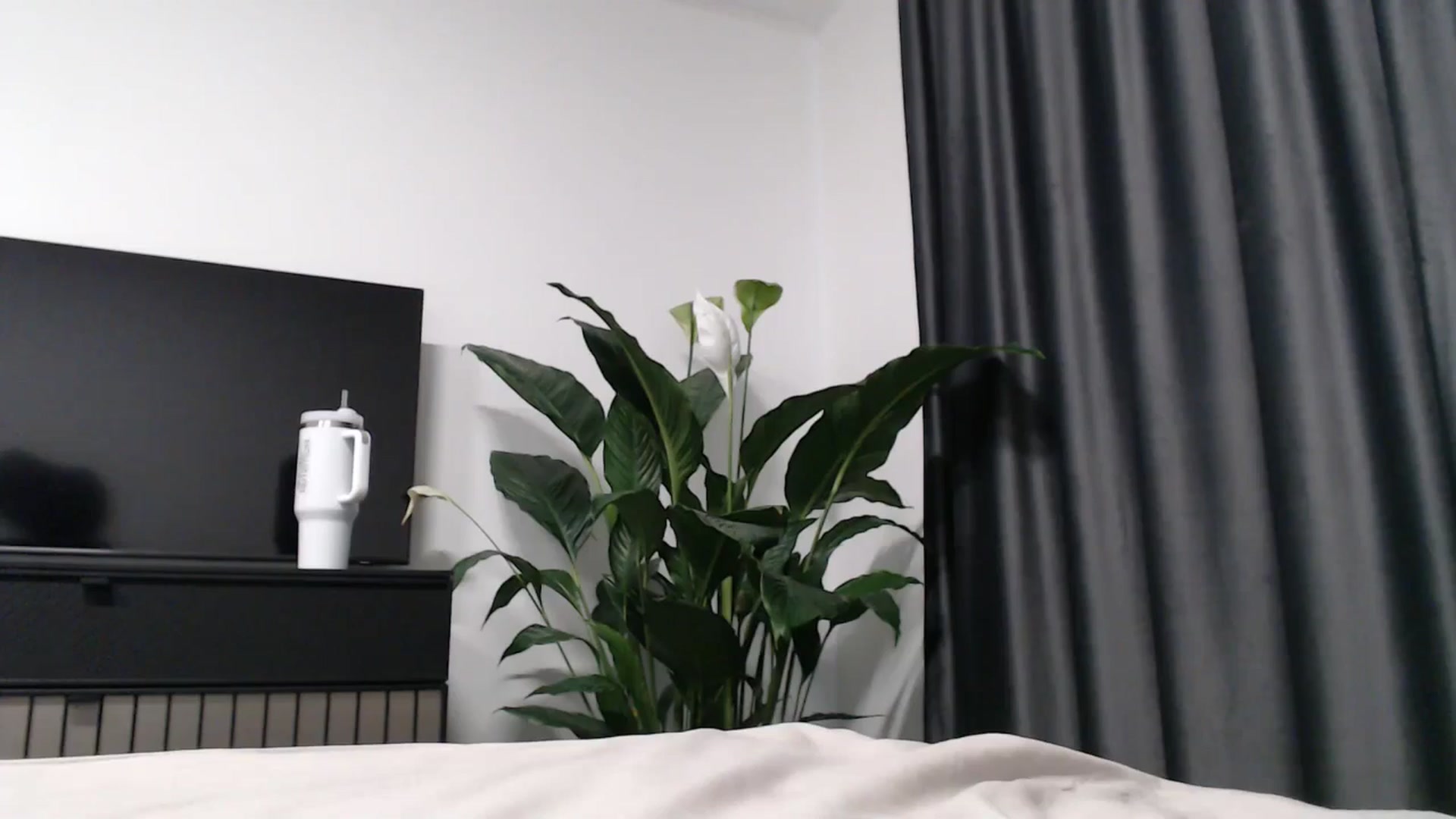 Gallery image thumbnail from NormalGirl's myfreecams stream on, 01/10/2026, 10:02 image 13 of 20
