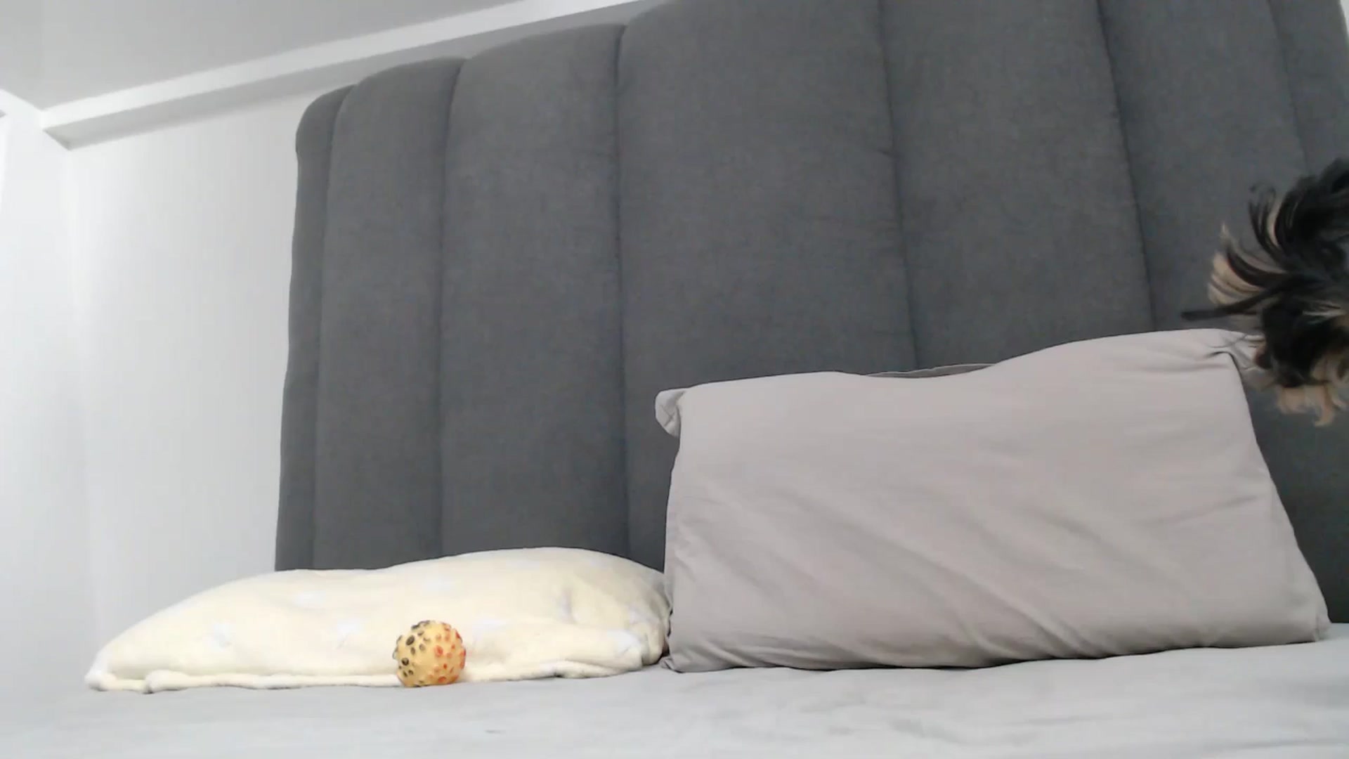 Gallery image thumbnail from NormalGirl's myfreecams stream on, 01/12/2026, 15:24 image 1 of 20
