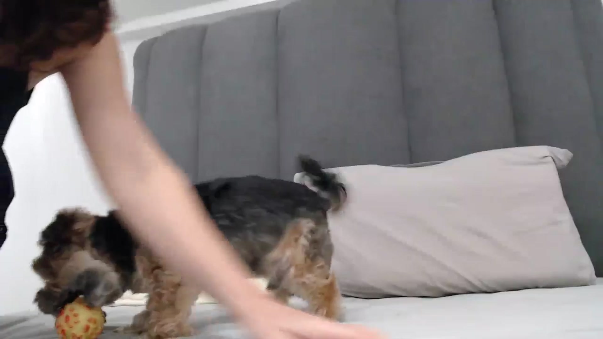 Gallery image thumbnail from NormalGirl's myfreecams stream on, 01/12/2026, 15:24 image 2 of 20