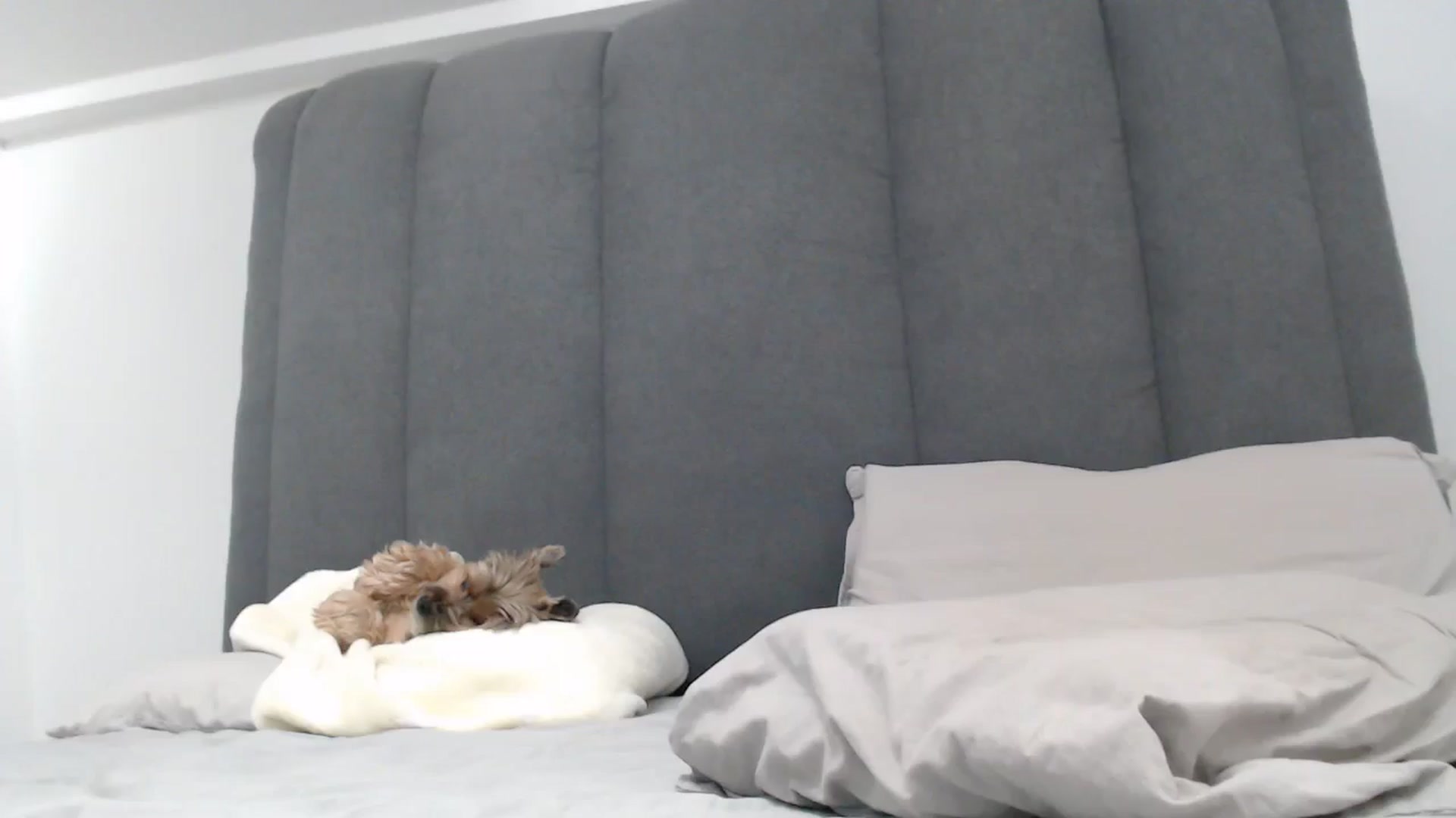 Gallery image thumbnail from NormalGirl's myfreecams stream on, 01/15/2026, 06:24 image 6 of 20