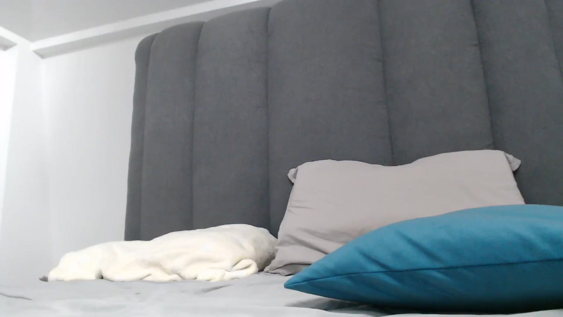 Gallery image thumbnail from NormalGirl's myfreecams stream on, 01/28/2026, 14:26 image 15 of 20