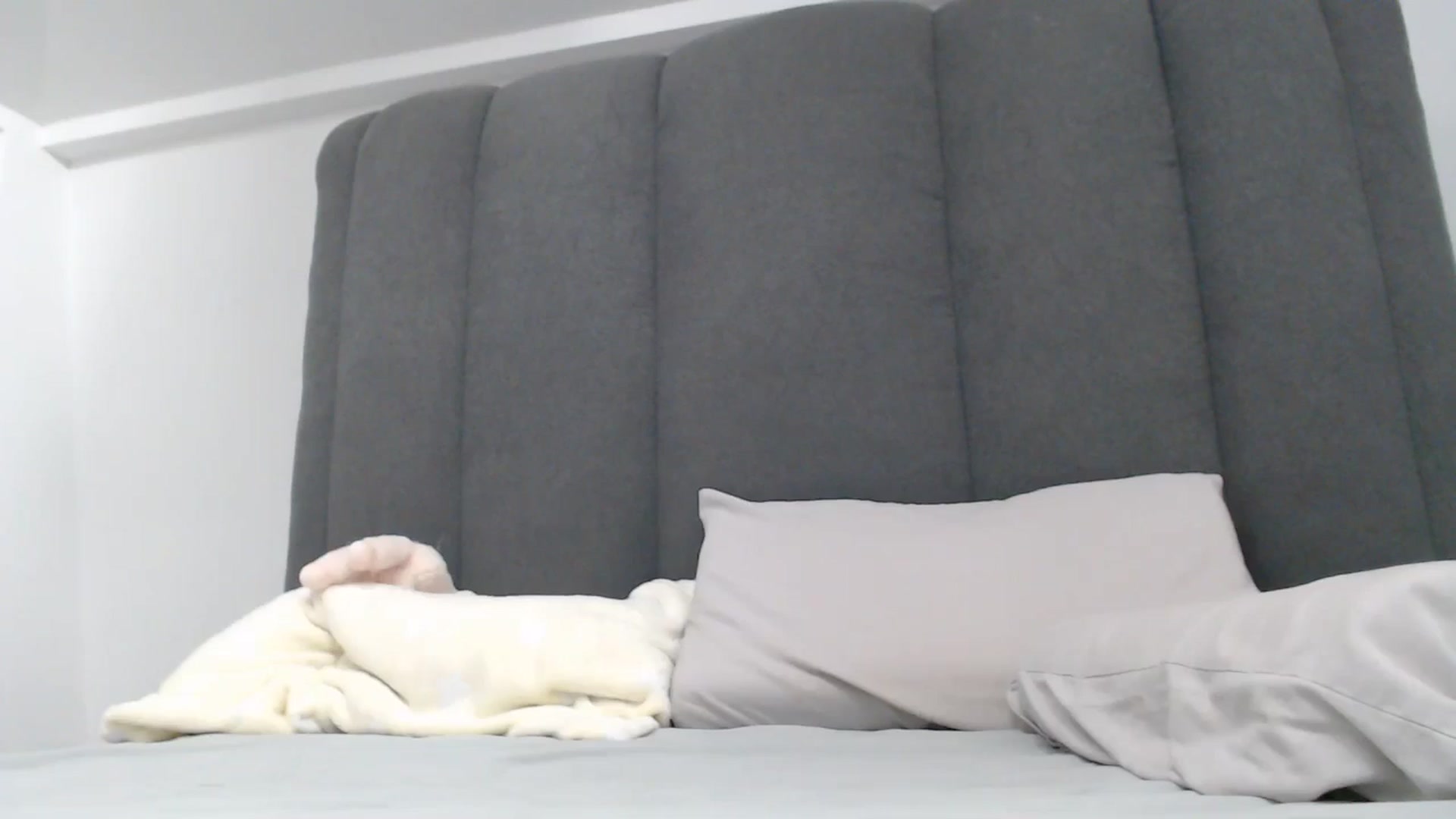 Gallery image thumbnail from NormalGirl's myfreecams stream on, 02/25/2026, 16:04 image 6 of 20