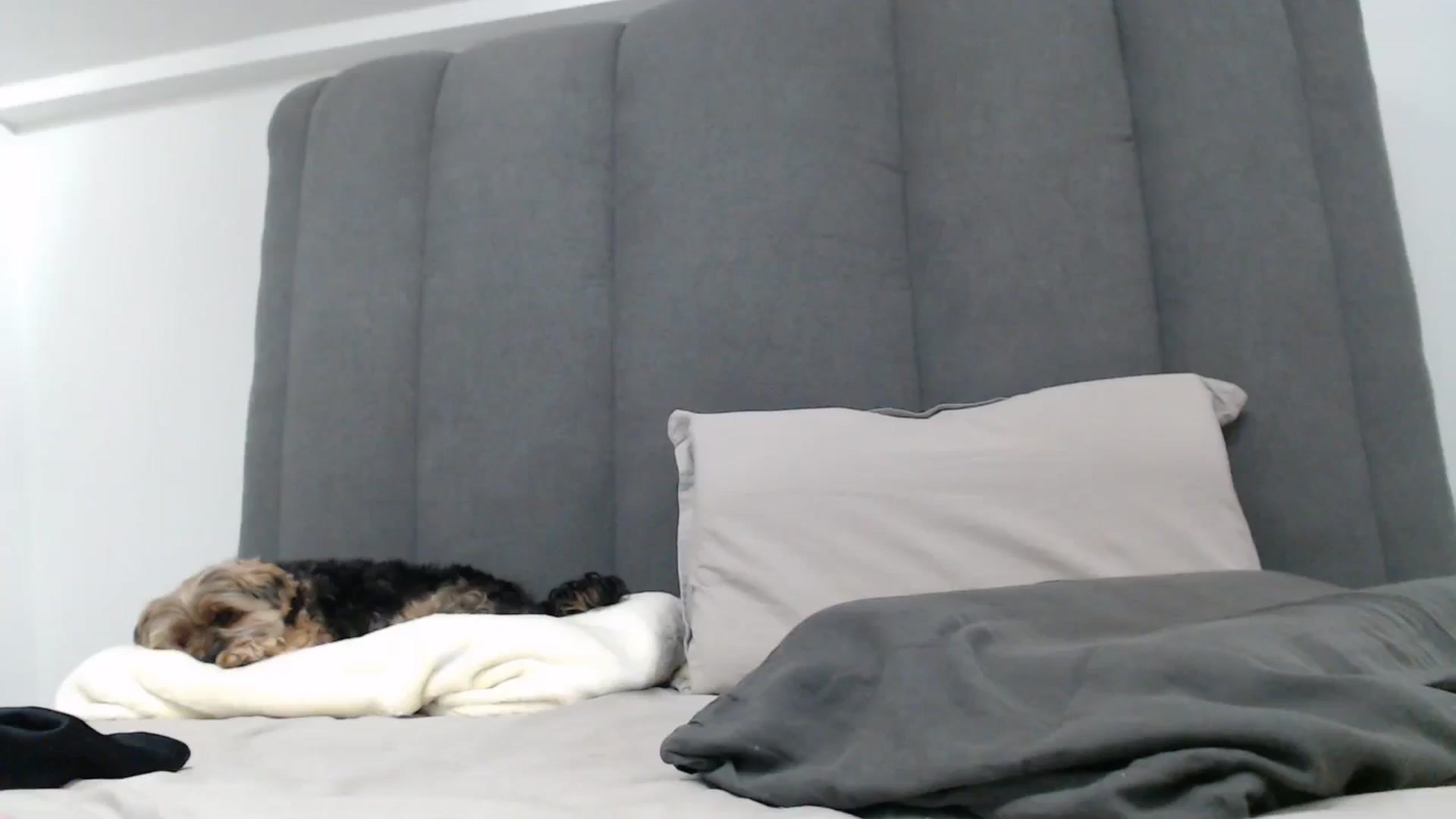 Gallery image thumbnail from NormalGirl's myfreecams stream on, 04/21/2026, 06:23 image 5 of 20