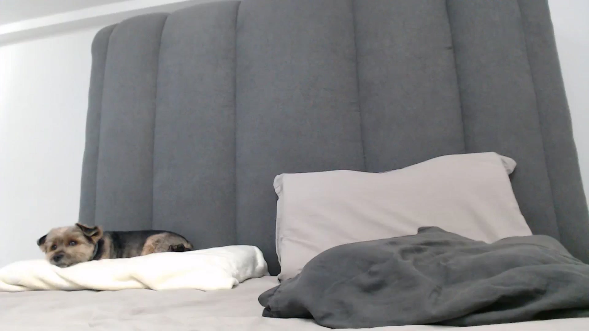Gallery image thumbnail from NormalGirl's myfreecams stream on, 05/09/2026, 04:12 image 19 of 20