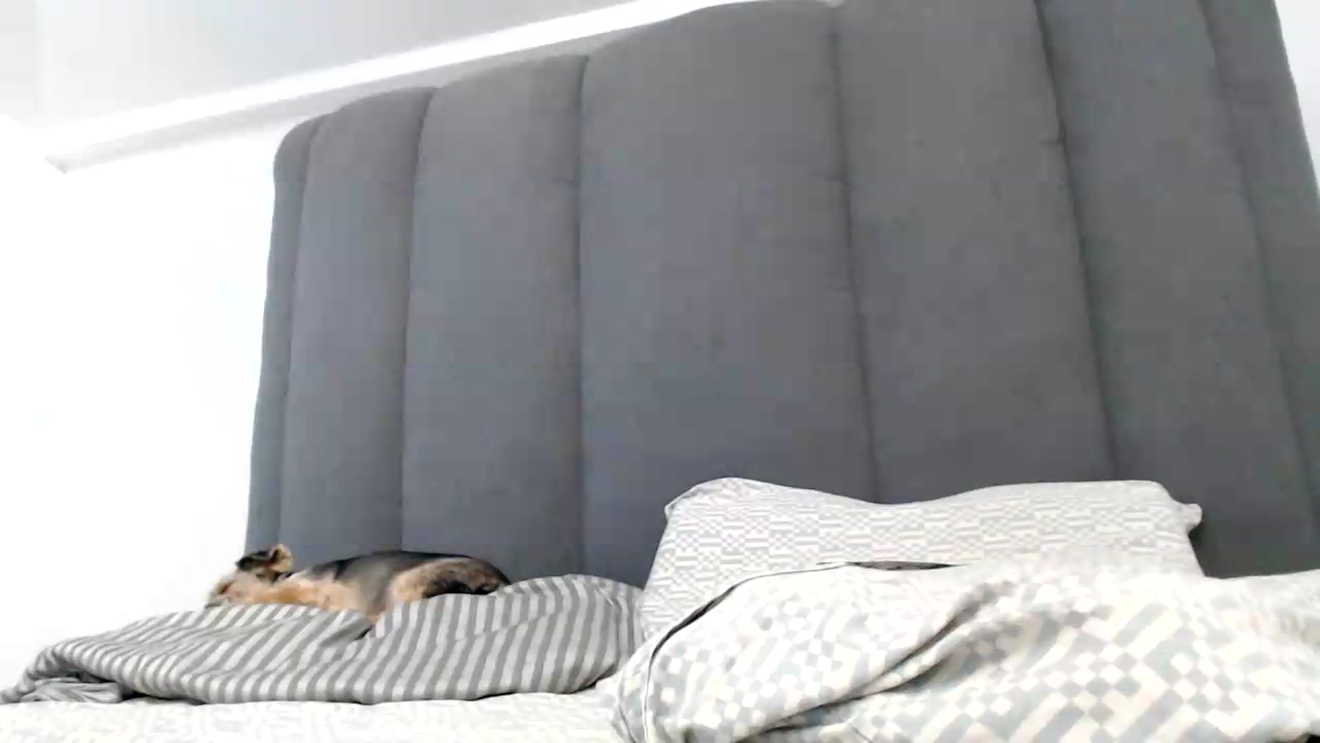 Gallery image thumbnail from NormalGirl's myfreecams stream on, 07/22/2026, 13:19 image 20 of 20