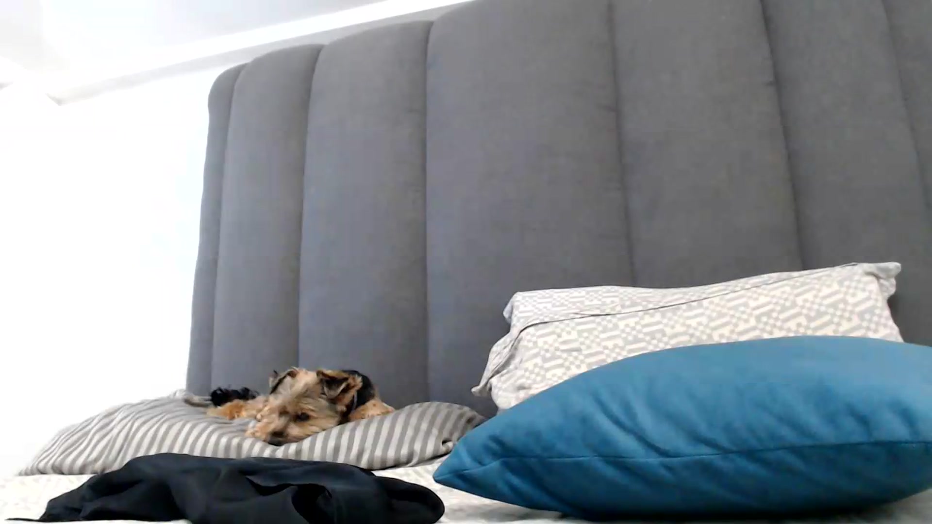 Gallery image thumbnail from NormalGirl's myfreecams stream on, 07/23/2026, 13:59 image 12 of 20